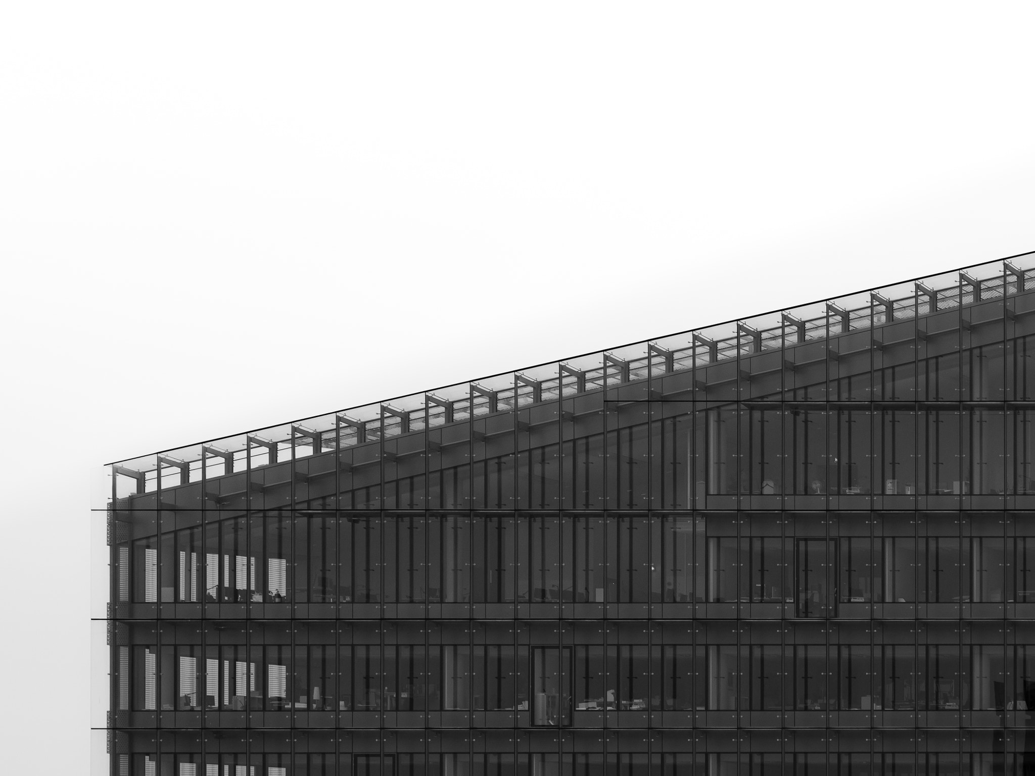 Sigma 105mm F2.8 EX DG OS HSM sample photo. Monochrome photography