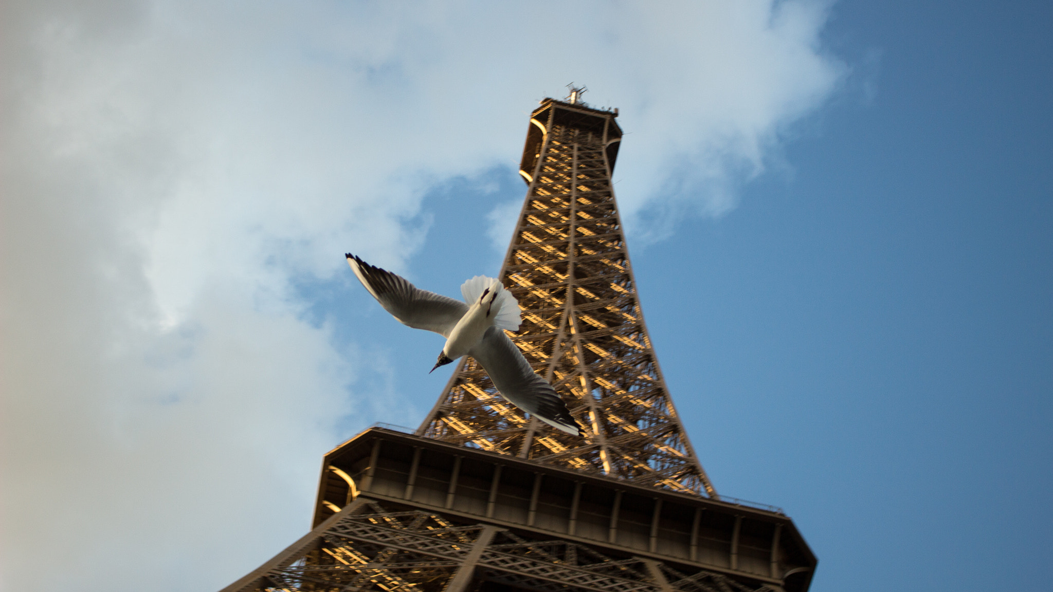 Canon EOS 100D (EOS Rebel SL1 / EOS Kiss X7) sample photo. Eiffel tower photography