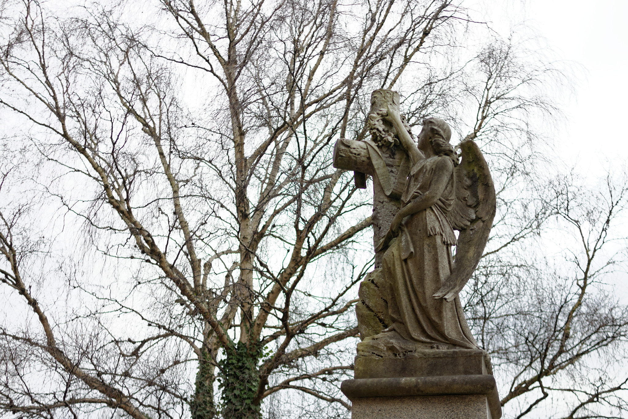 Canon EF 28mm F2.8 sample photo. Quarry bank 2 photography