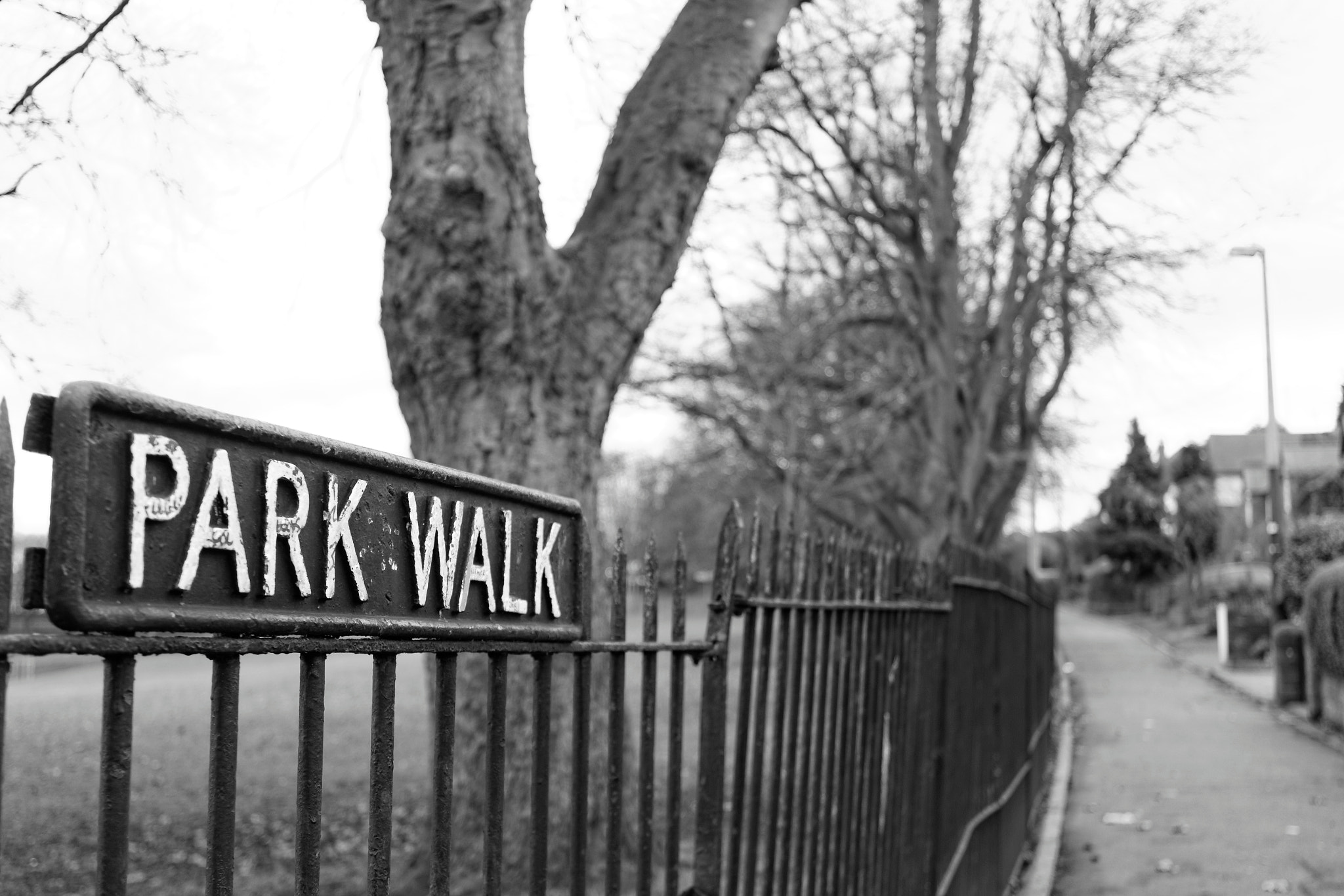 Canon EF 28mm F2.8 sample photo. Park walk photography