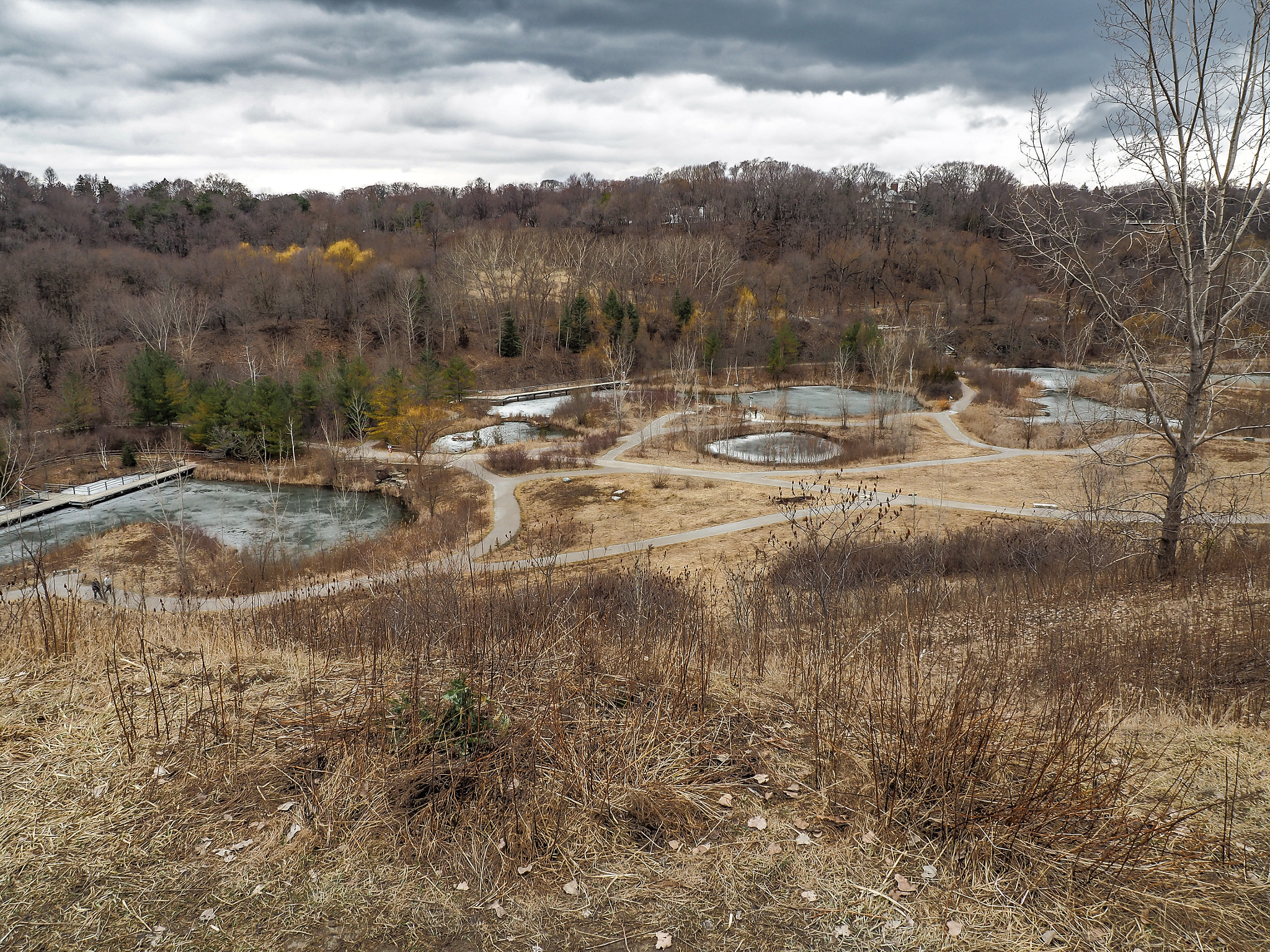 Olympus OM-D E-M5 II sample photo