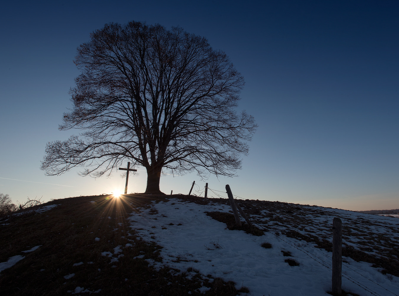 Nikon AF-S Nikkor 17-35mm F2.8D ED-IF sample photo. Silent tree photography