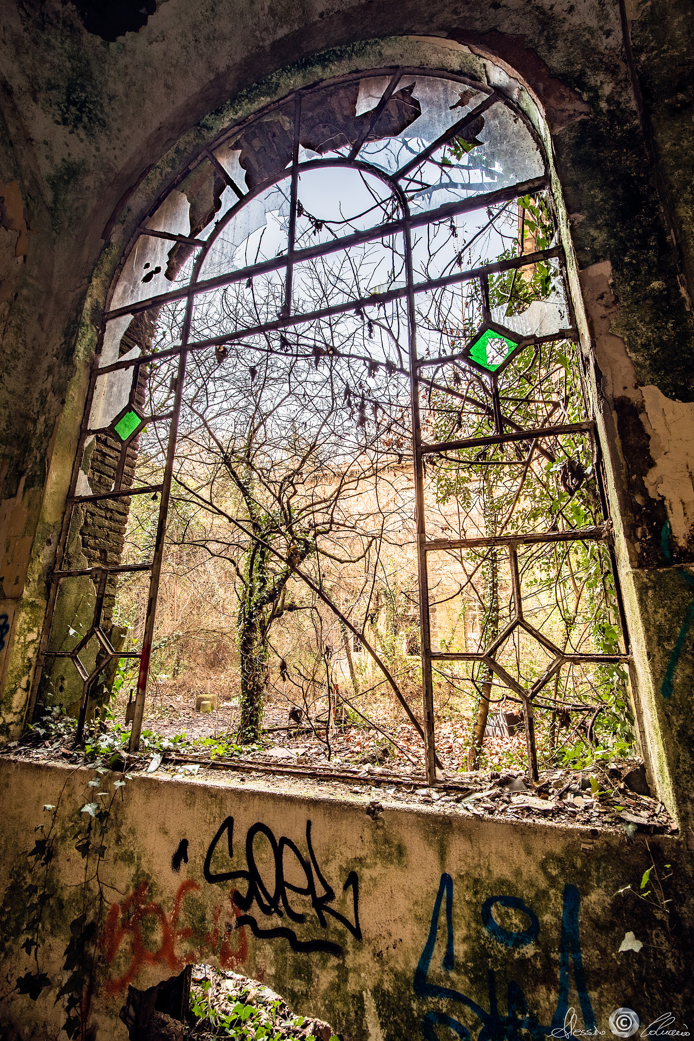 Canon EOS-1D X sample photo. Vanished dreams photography