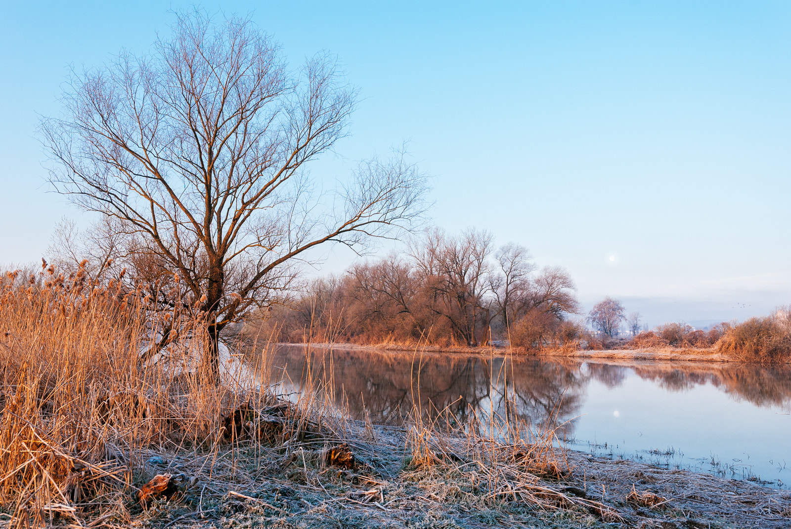 Nikon D60 sample photo. Colours of the morning... photography