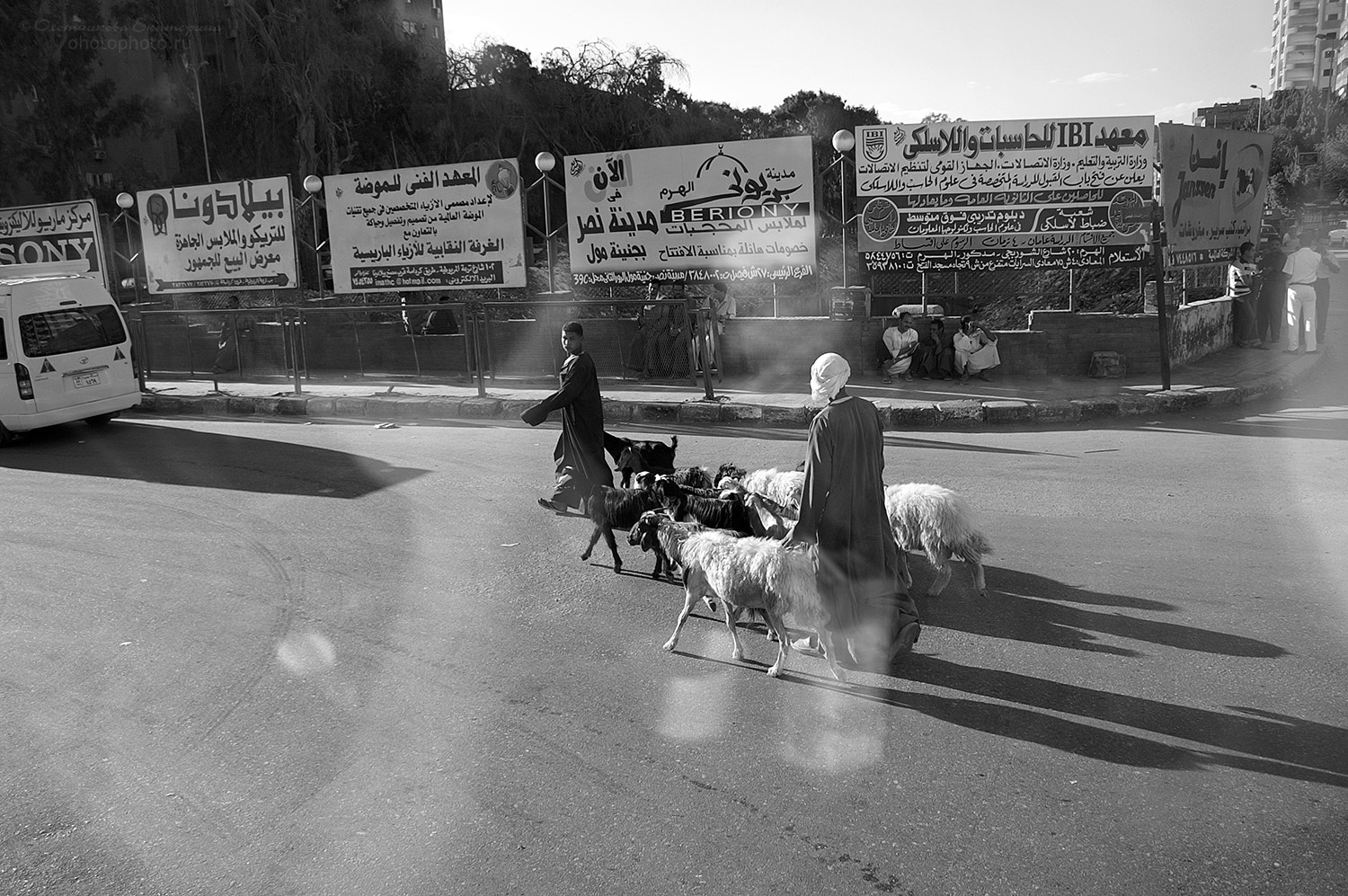 KONICA MINOLTA DYNAX 5D sample photo. At the crossroads of cairo photography