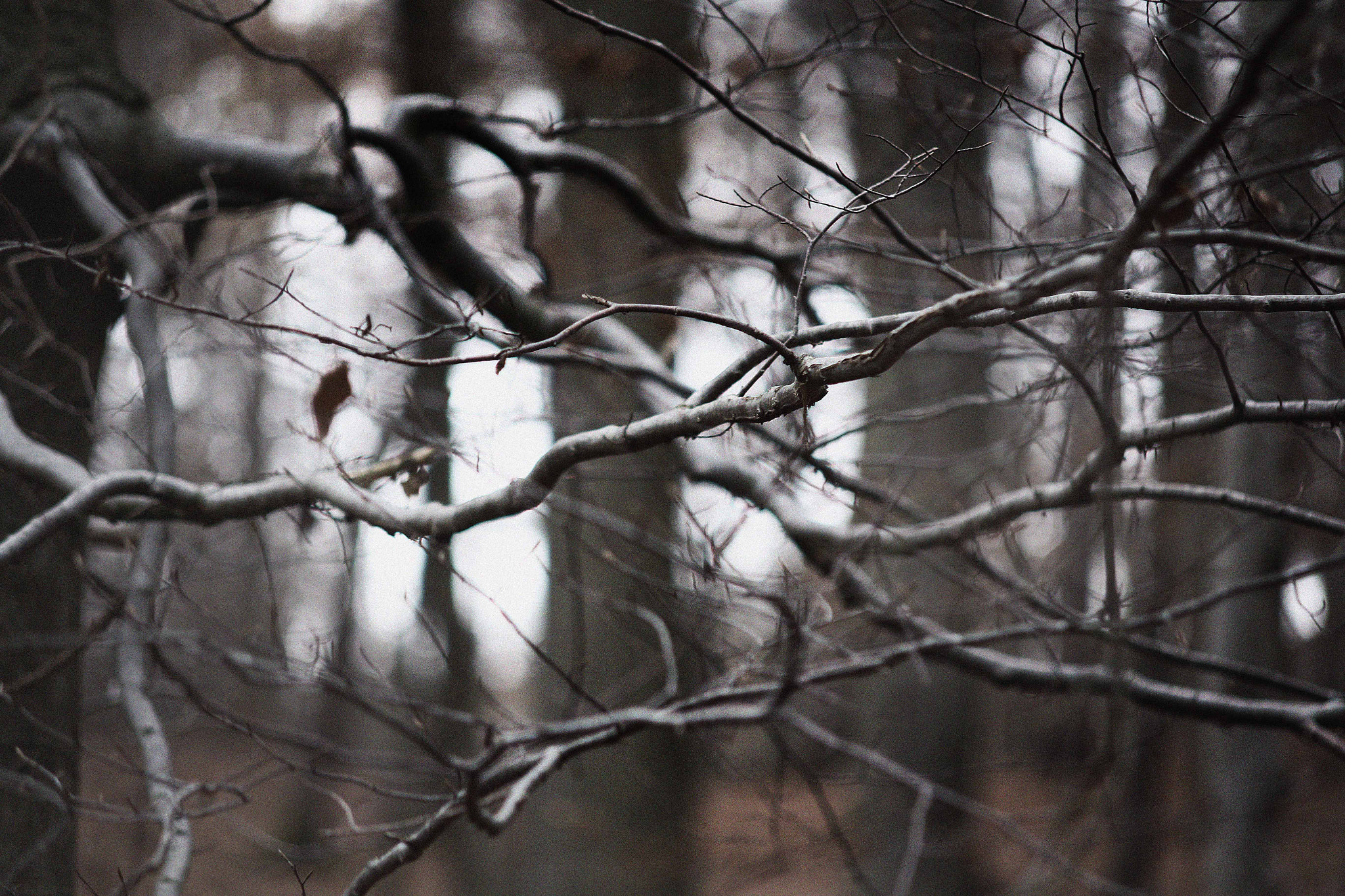 Sigma APO 50-150mm f/2.8 [II] EX DC HSM sample photo. The flow. photography