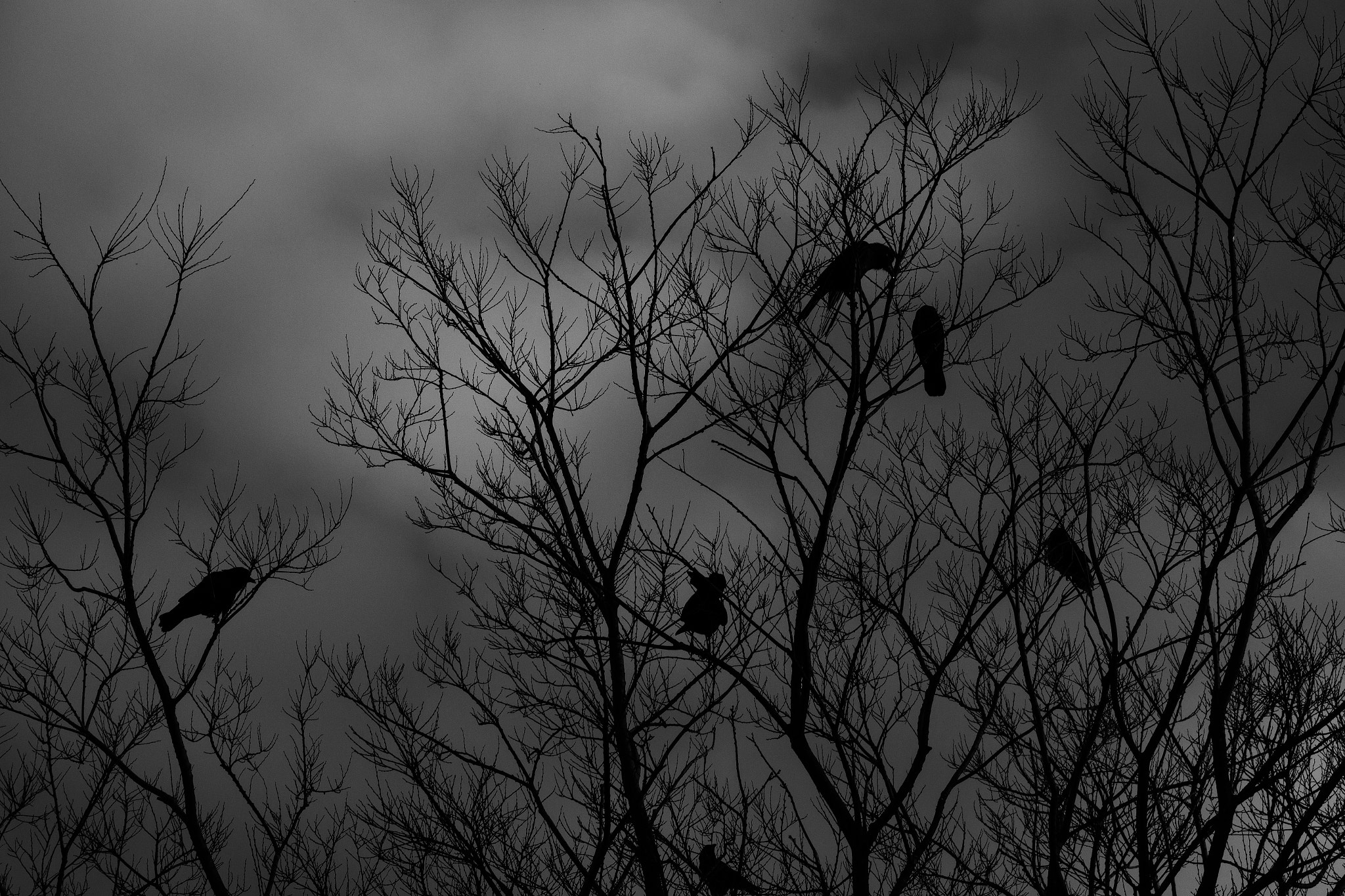 Pentax D FA* 70-200mm F2.8ED DC AW sample photo. Darkness photography
