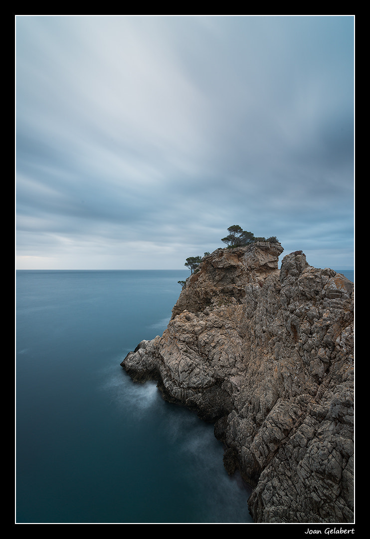 Nikon AF Nikkor 14mm F2.8D ED sample photo. 2017-02-25_08.45.59.jpg photography