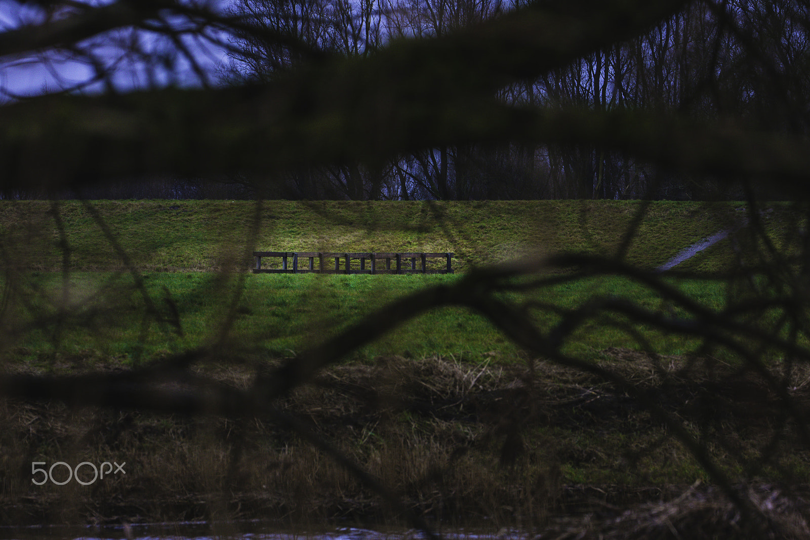 Canon EF 70-300mm F4-5.6L IS USM sample photo. Bridge photography