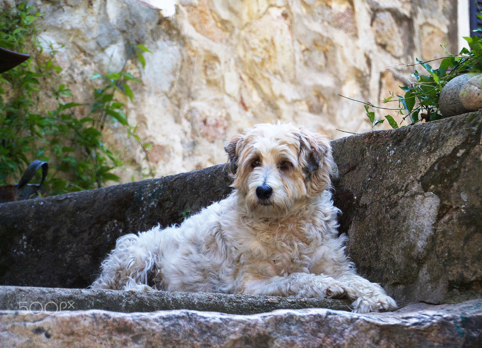 Canon EOS 1100D (EOS Rebel T3 / EOS Kiss X50) sample photo. Keeping guard photography