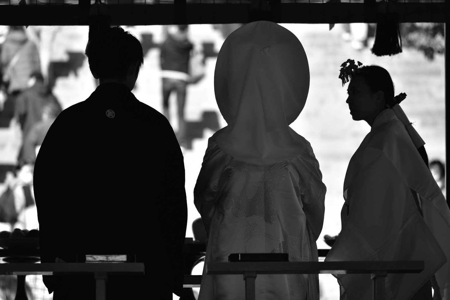 Nikon D5500 sample photo. Whisper photography