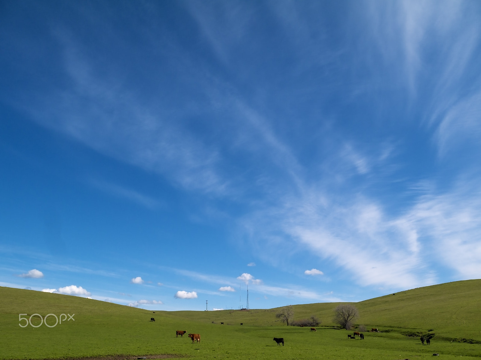 Panasonic Lumix DMC-GF5 sample photo. Under a wonderful sky photography