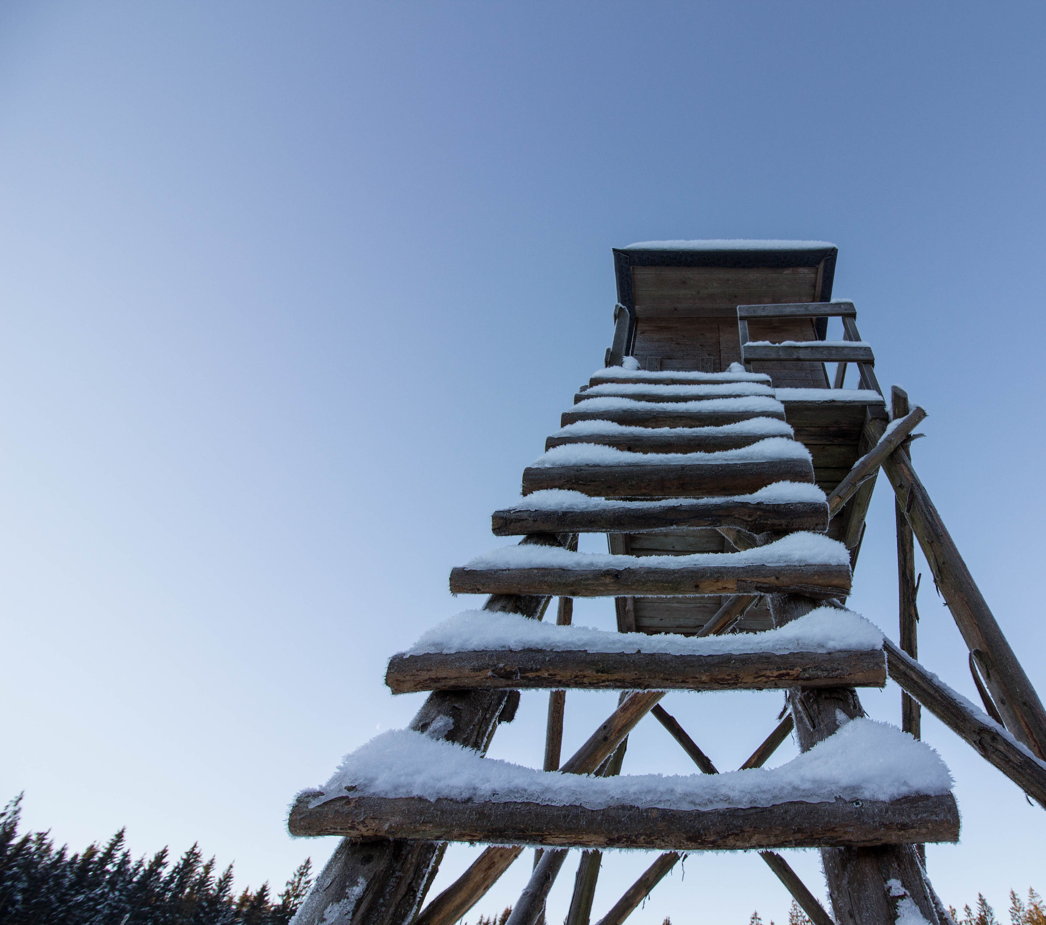 Canon EOS 650D (EOS Rebel T4i / EOS Kiss X6i) sample photo. High seat photography