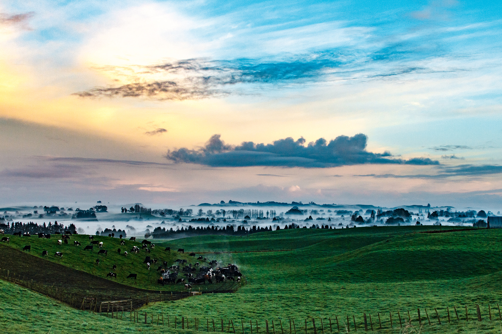 Canon EOS 60D sample photo. Waikato dawn photography