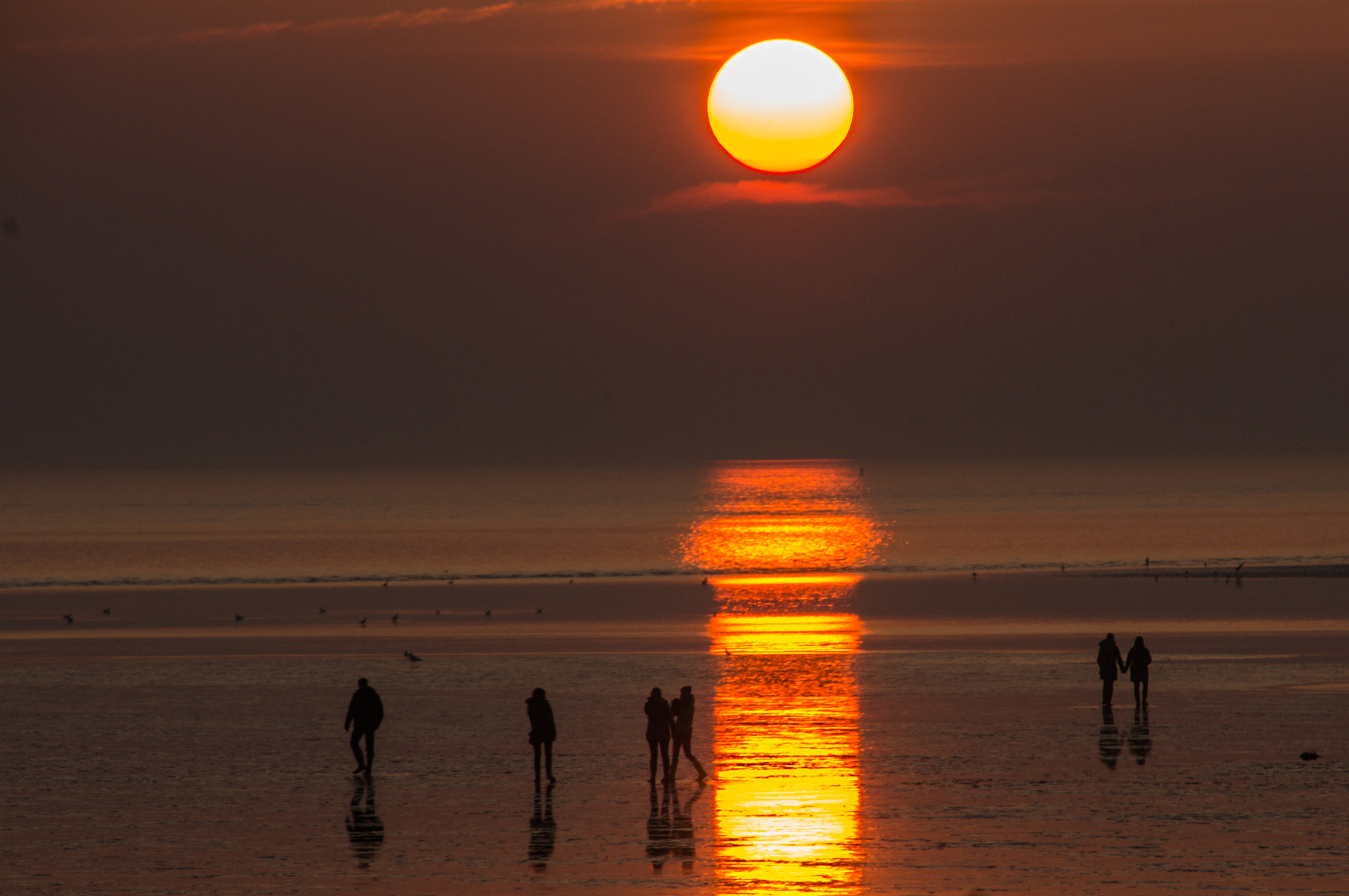 Tamron 18-270mm F3.5-6.3 Di II PZD sample photo. This love shines brightly photography