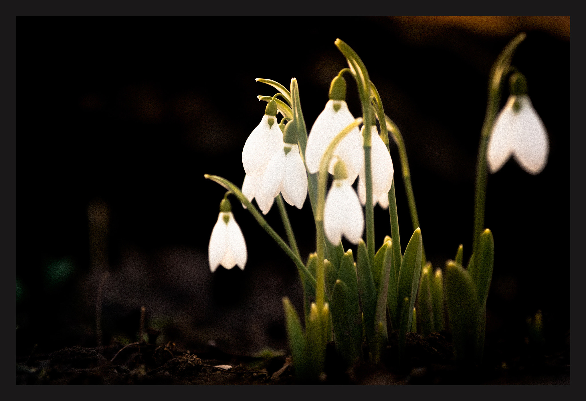 Canon EOS-1D Mark III sample photo. Nature rising photography