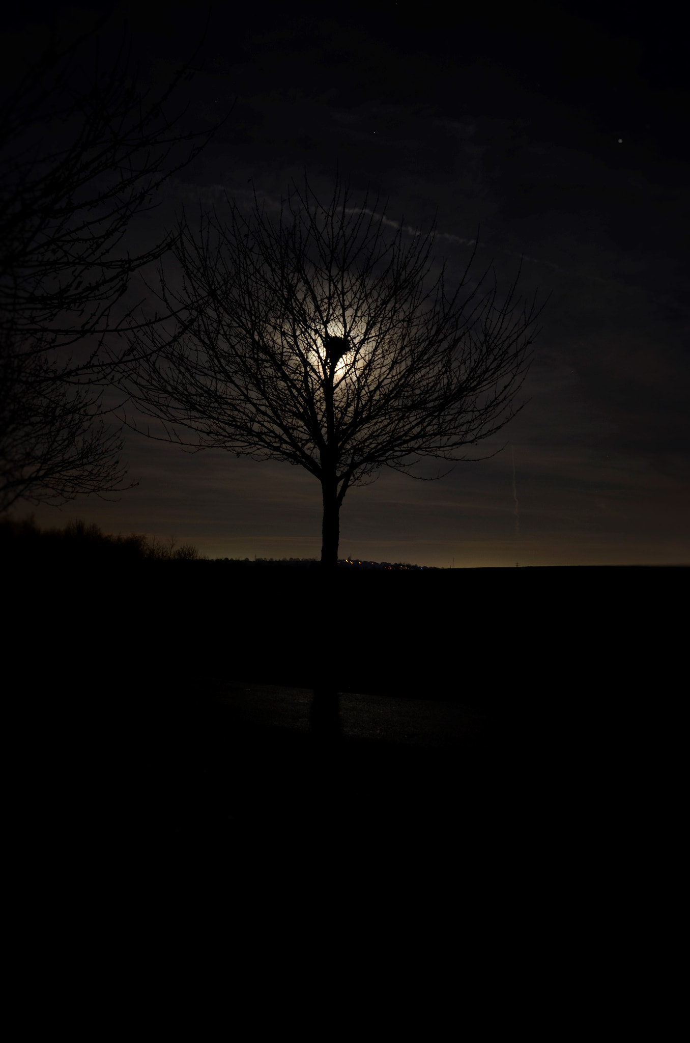 Nikon D5100 sample photo. Moon behind the tree photography