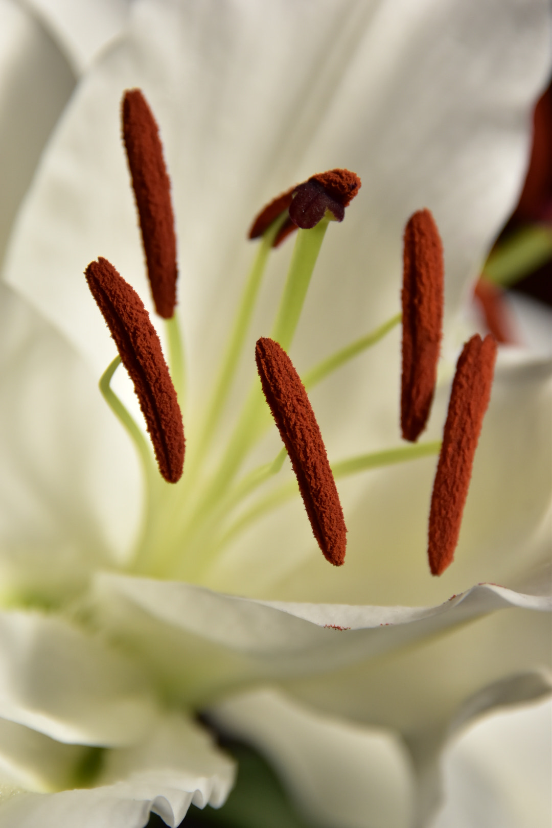 Nikon D5500 sample photo