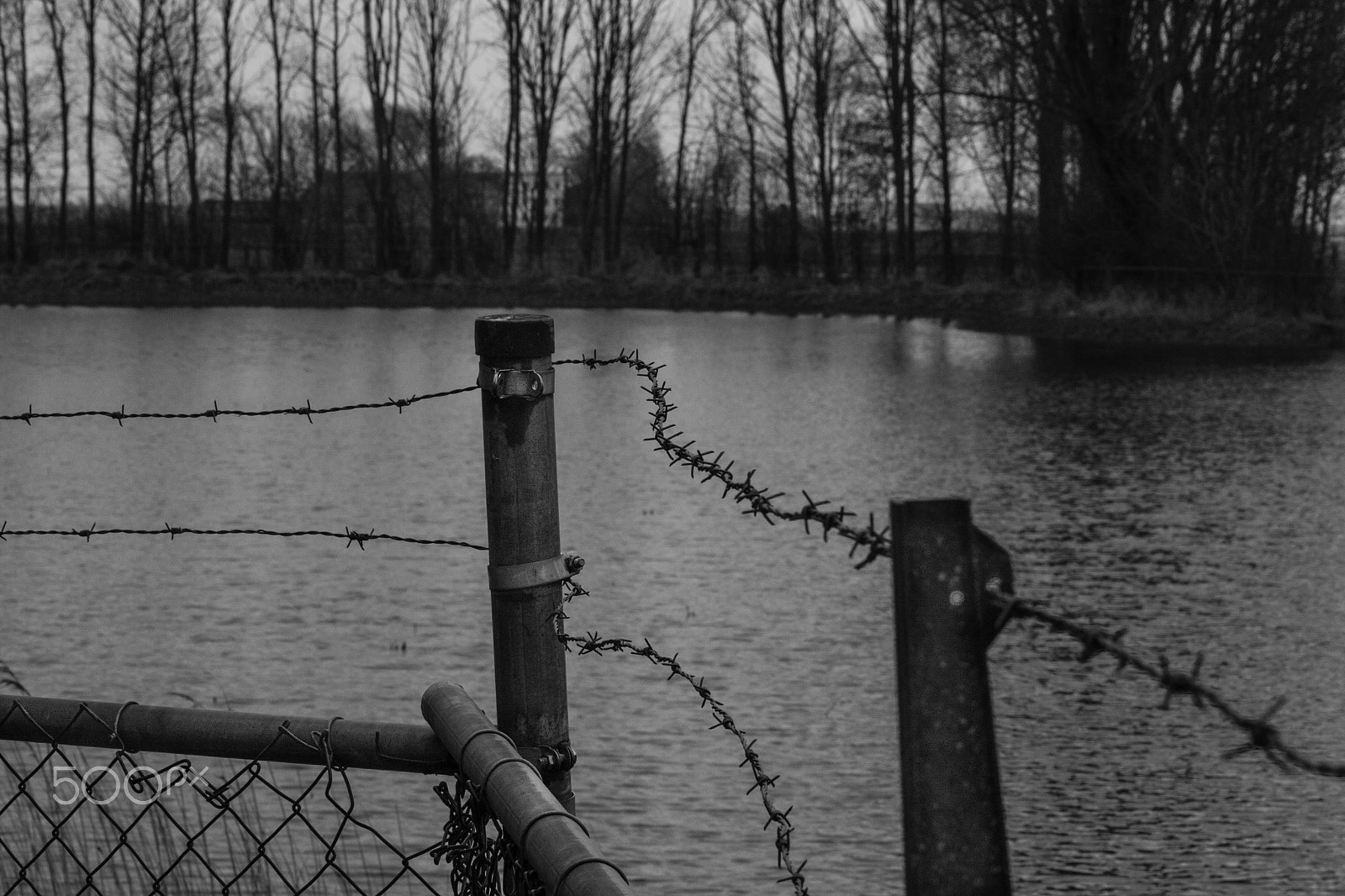 Canon EF 70-300mm F4-5.6L IS USM sample photo. Fence photography