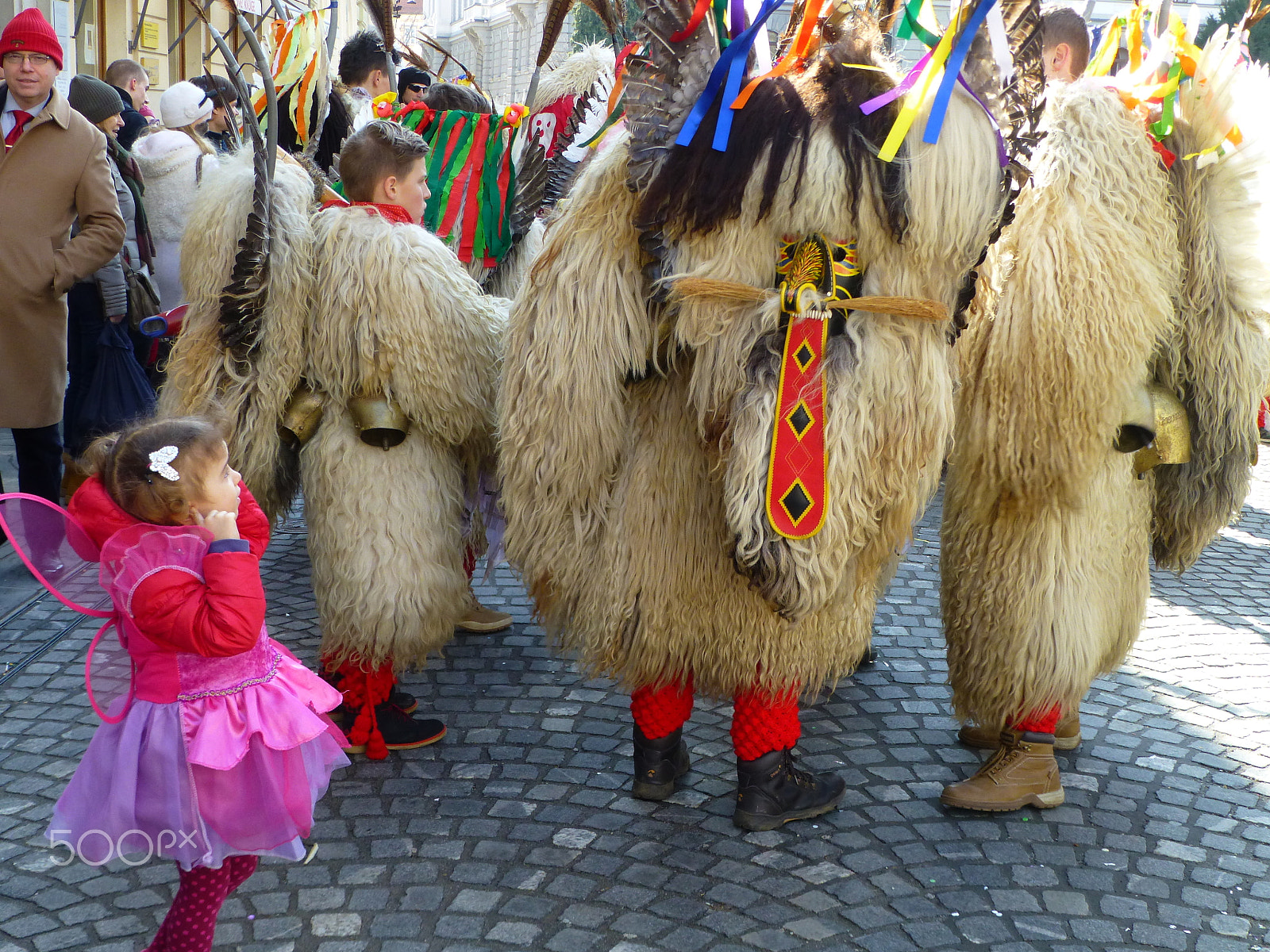 Panasonic DMC-TZ31 sample photo. Ljubljana carnival kurent () photography