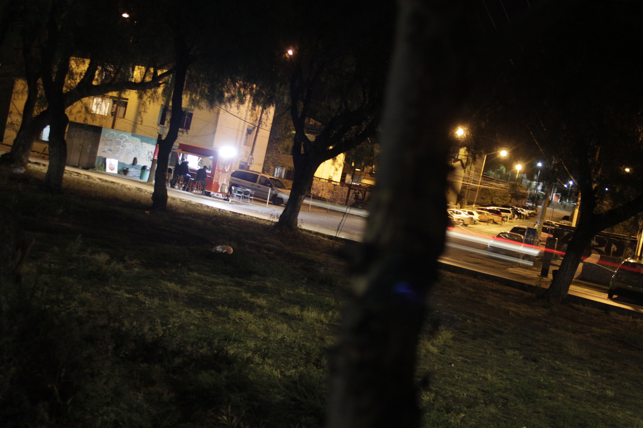 Canon EF-S 18-55mm F3.5-5.6 II sample photo. Bosque nocturno photography