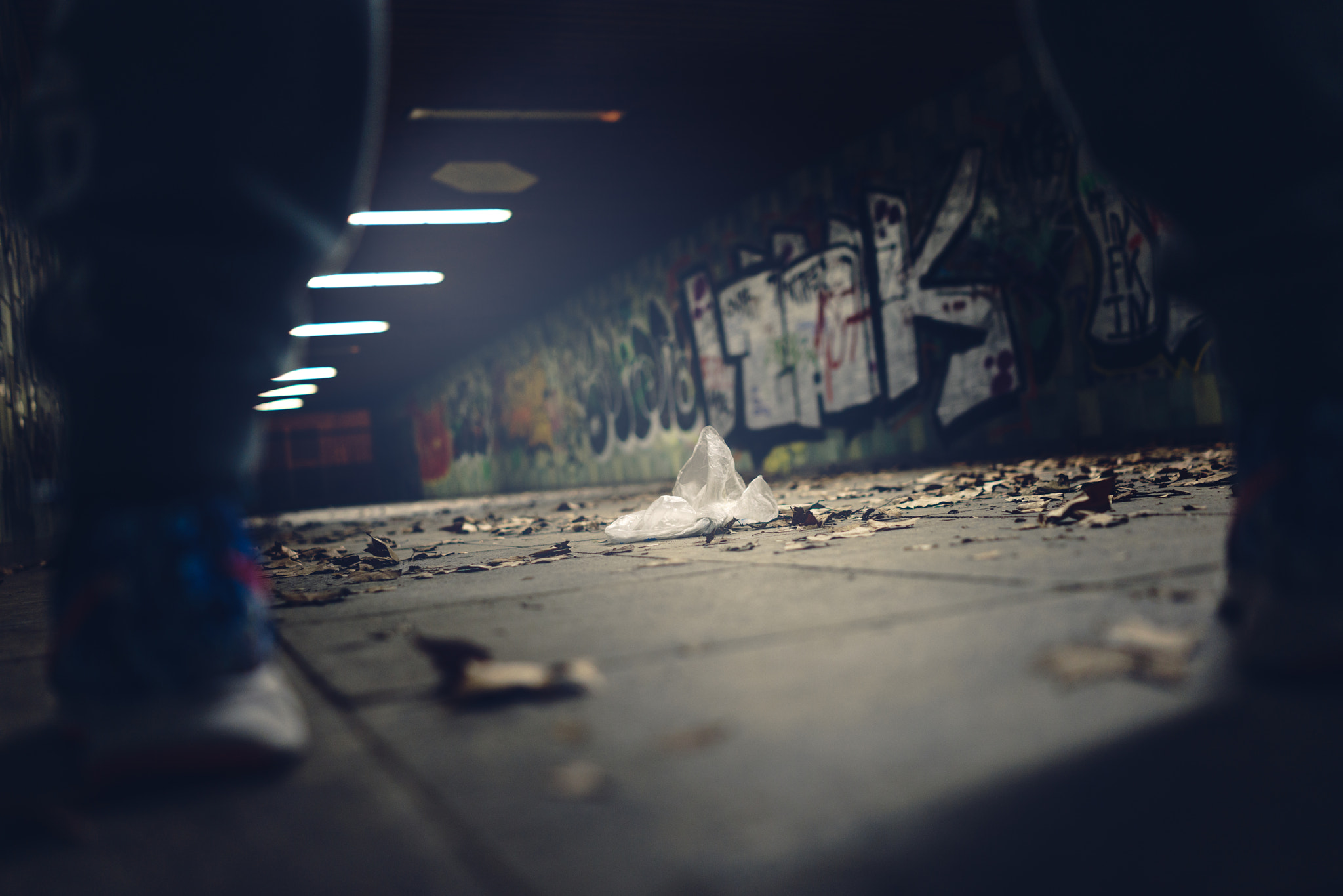 35mm F2.0 sample photo. Through photography
