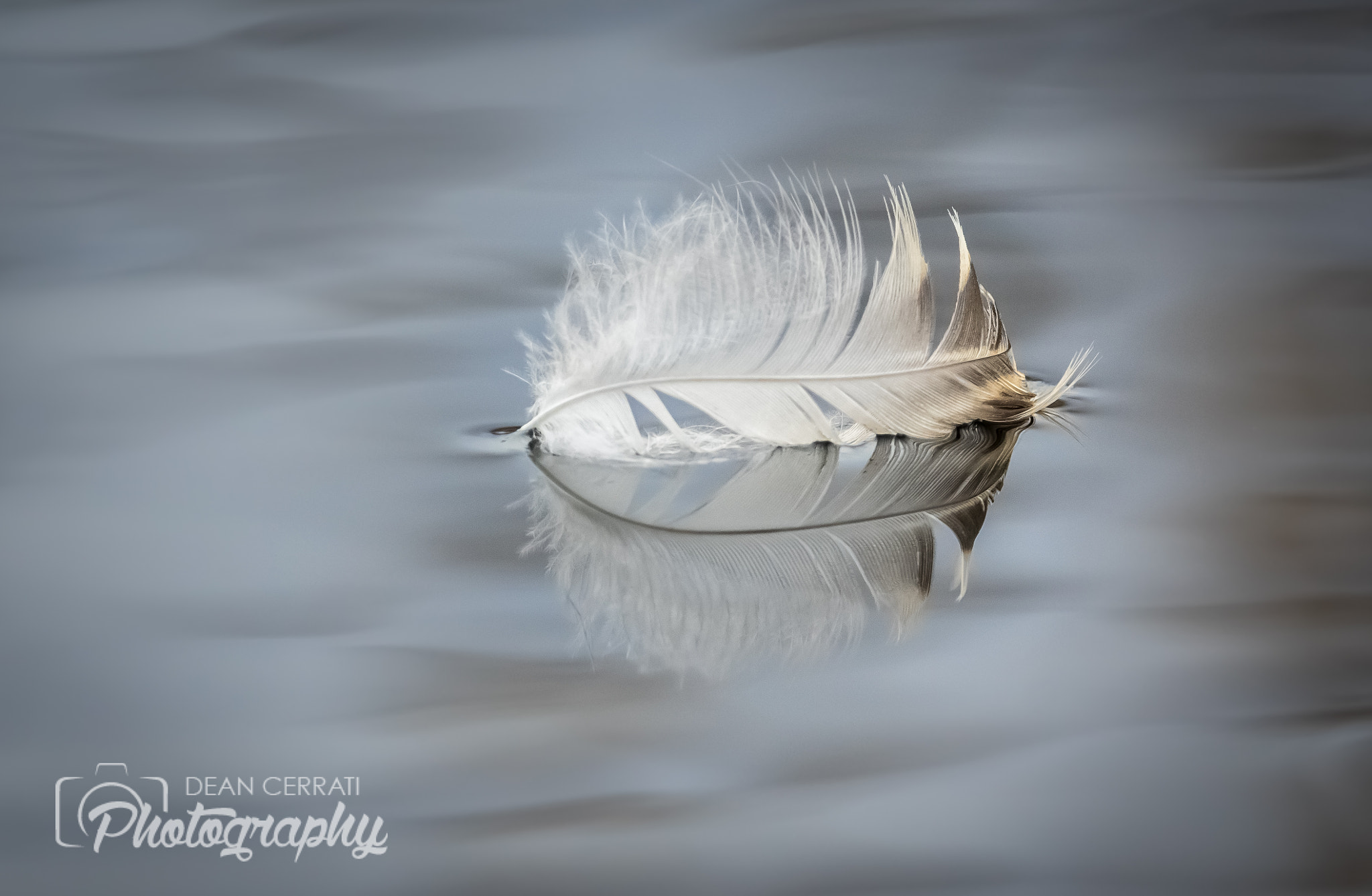 Pentax K-3 sample photo. Afloat photography