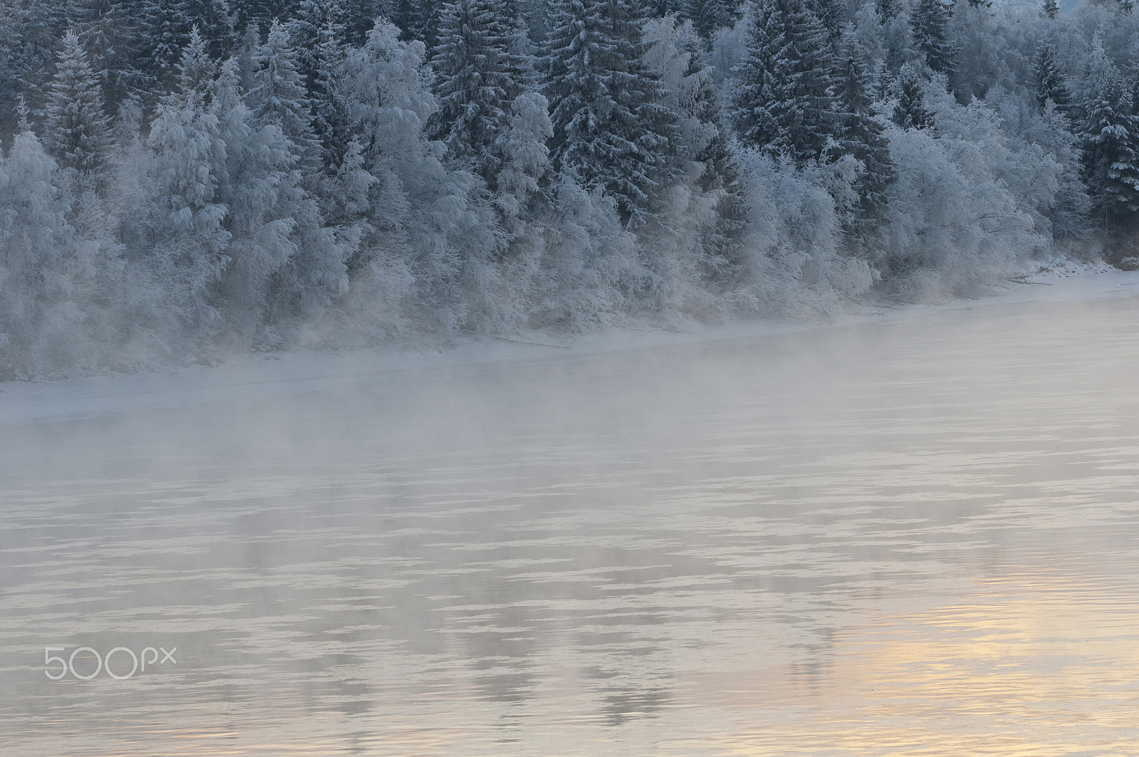 Nikon D300 sample photo. River fog photography