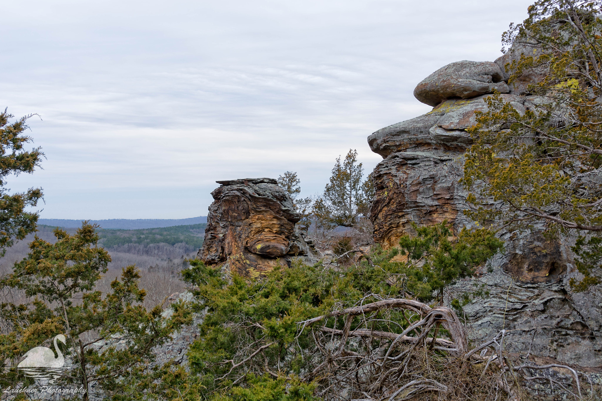 Nikon D5200 sample photo. A view from observation trail photography