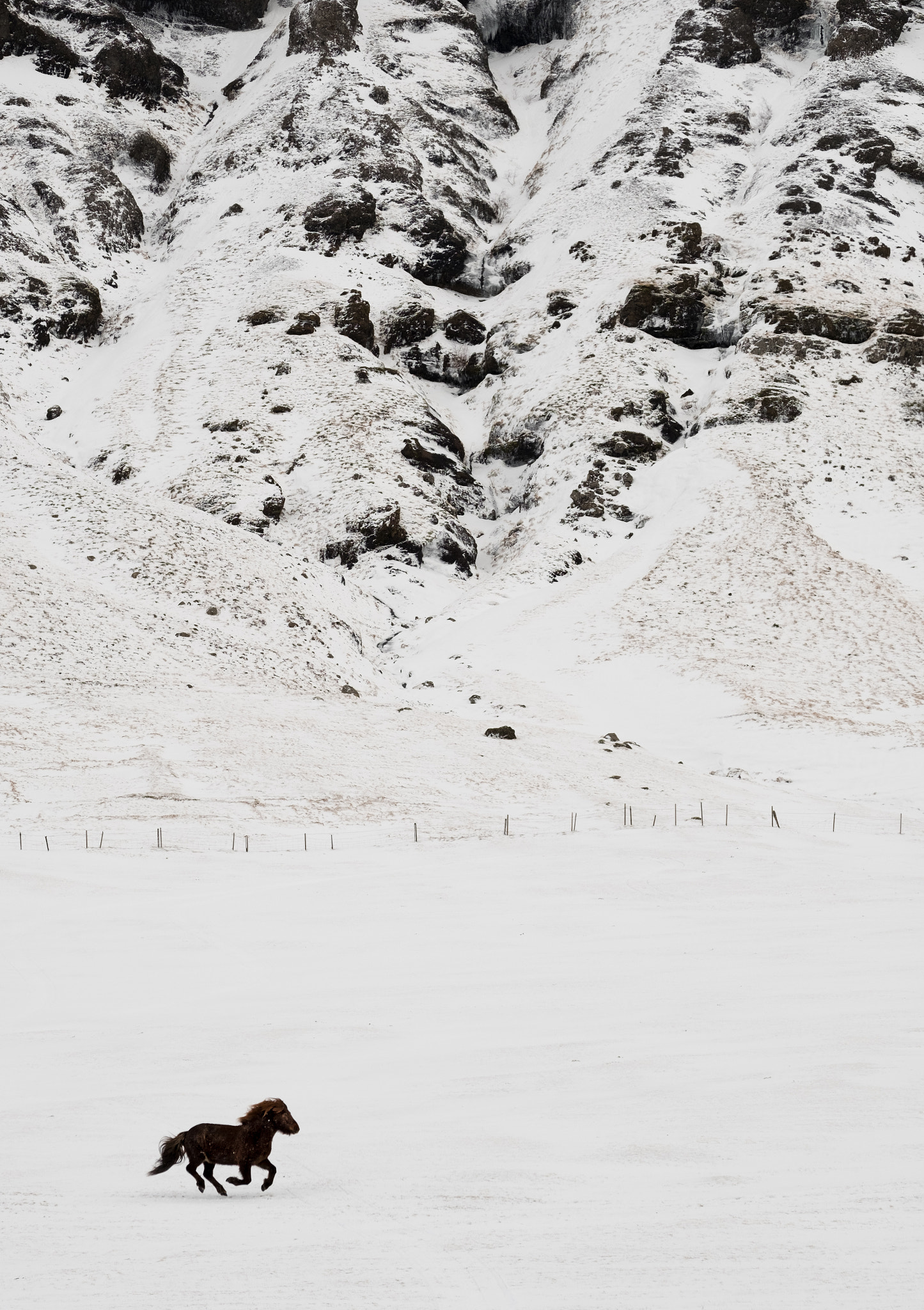 Fujifilm XF 50-140mm F2.8 R LM OIS WR sample photo. Horse running in the snow photography