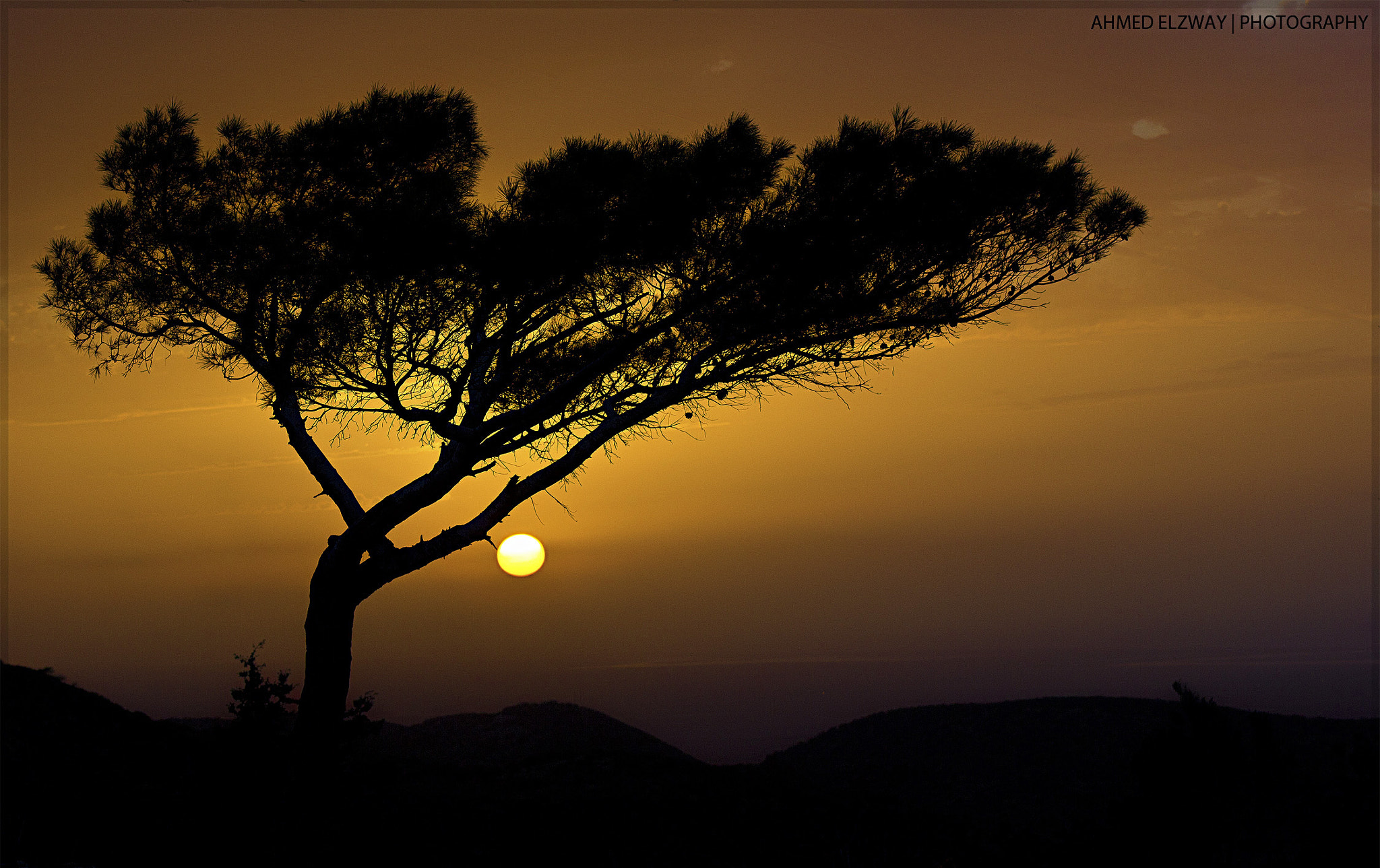 Canon EOS 550D (EOS Rebel T2i / EOS Kiss X4) + EF75-300mm f/4-5.6 sample photo. Sunset photography