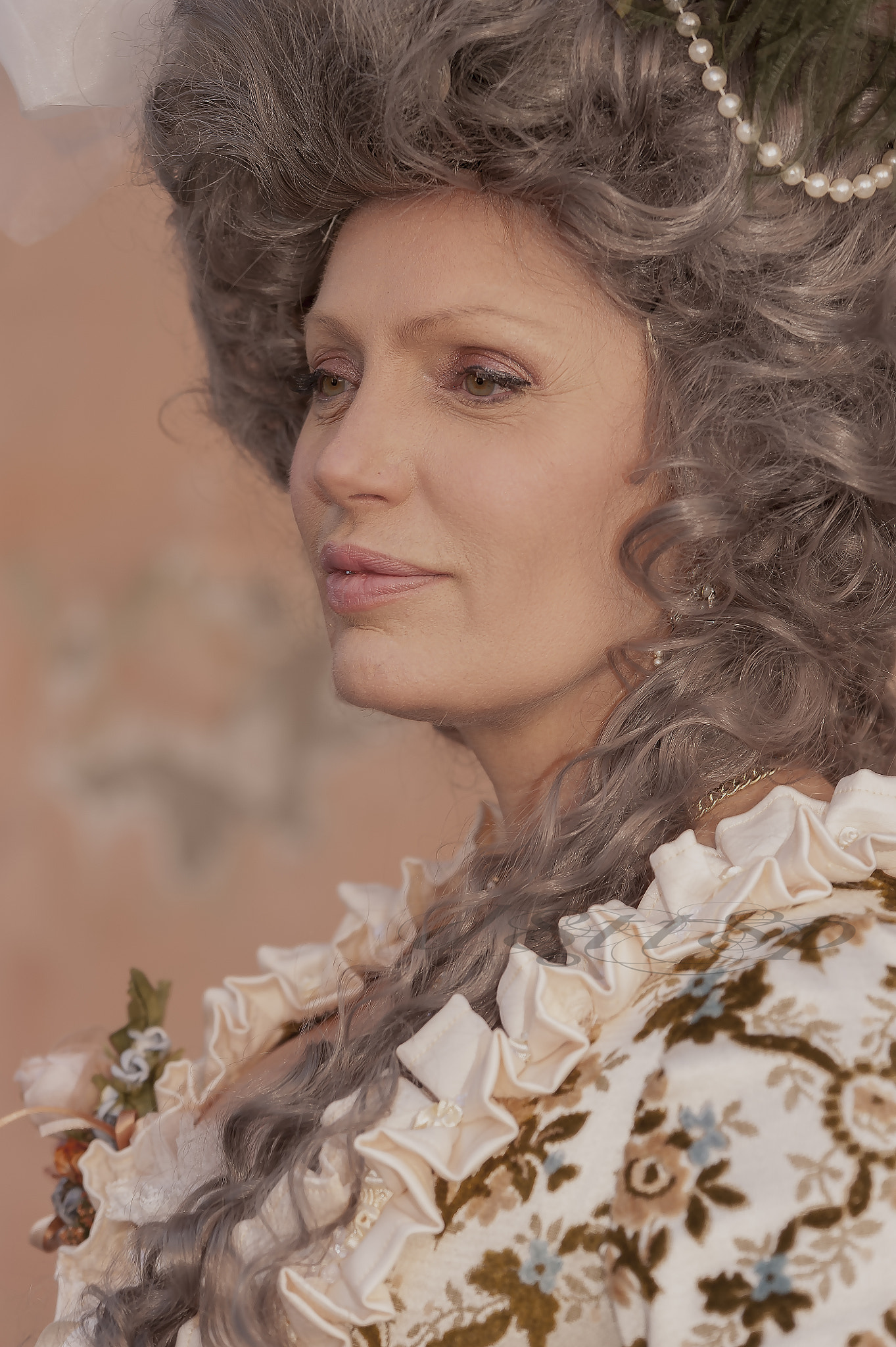 Sigma 70-200mm F2.8 EX DG OS HSM sample photo. " carnaval  a   venise " photography