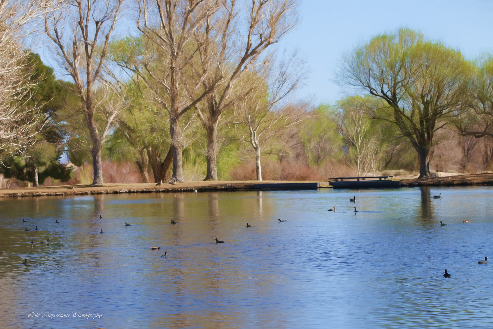 Canon EF 70-200mm F2.8L IS II USM sample photo. Serenity at floyd lamb state park photography