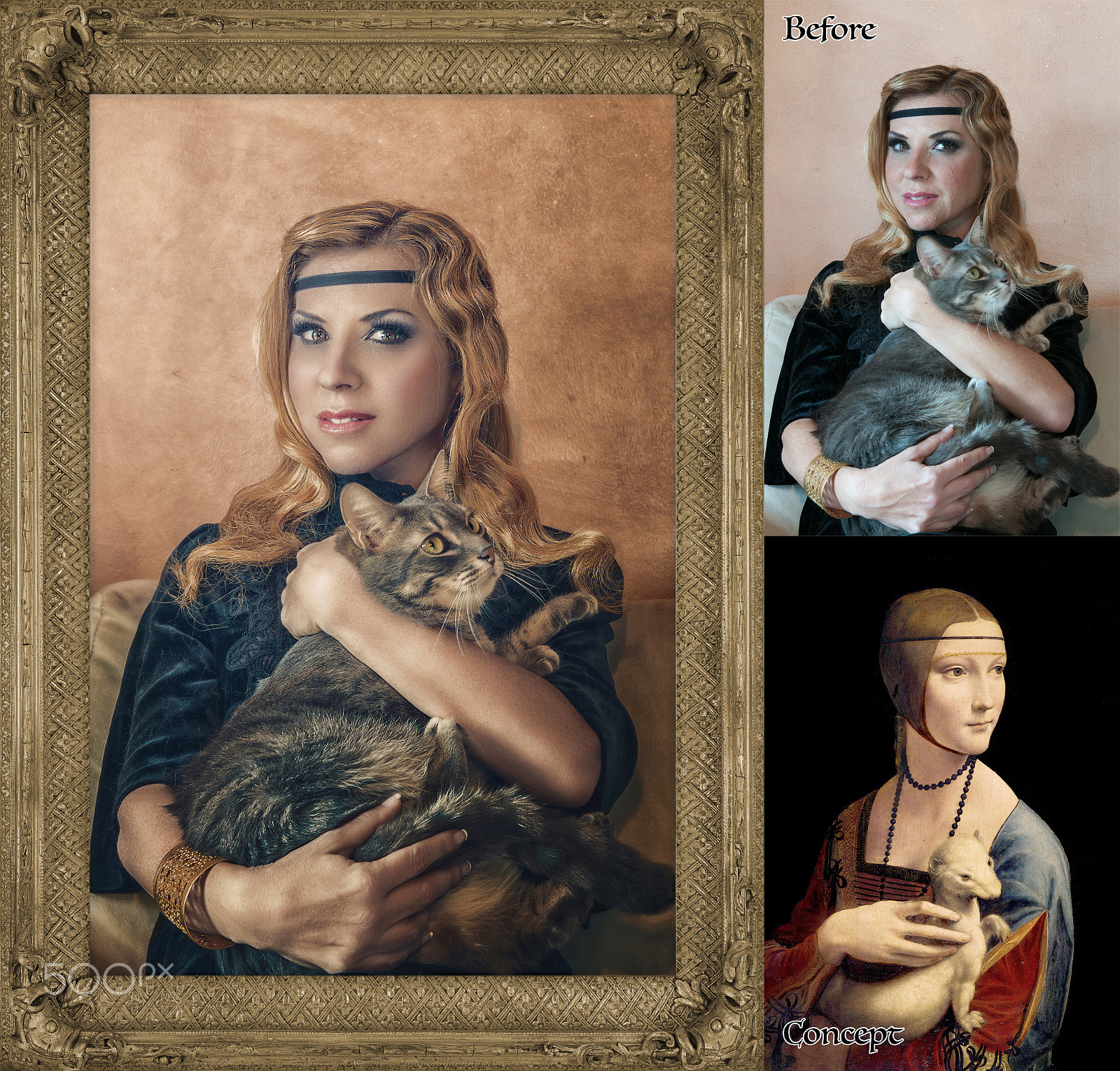 Nikon AF-S Nikkor 24-70mm F2.8G ED sample photo. Dama con ermellino photography