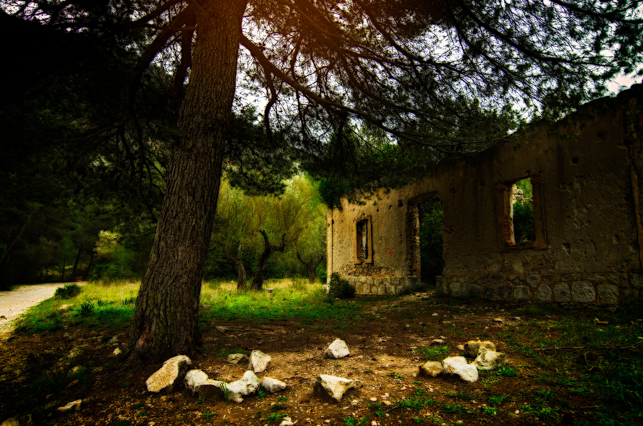 Pentax smc DA 12-24mm F4.0 ED AL (IF) sample photo. Racó del duc photography