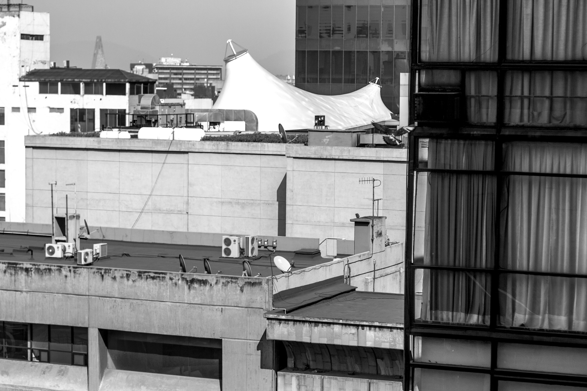 Canon EOS 400D (EOS Digital Rebel XTi / EOS Kiss Digital X) sample photo. Ciudad de méxico photography