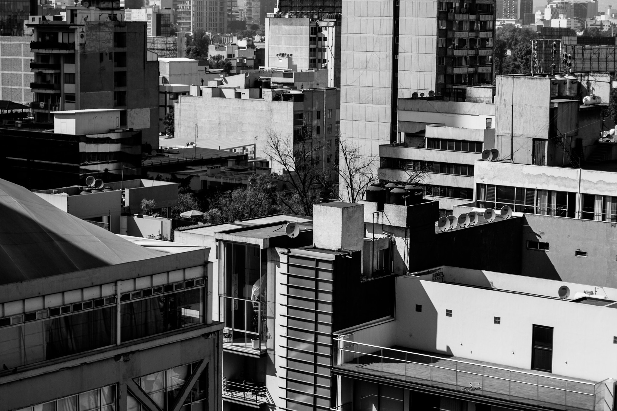 Canon EOS 400D (EOS Digital Rebel XTi / EOS Kiss Digital X) sample photo. Ciudad de méxico photography