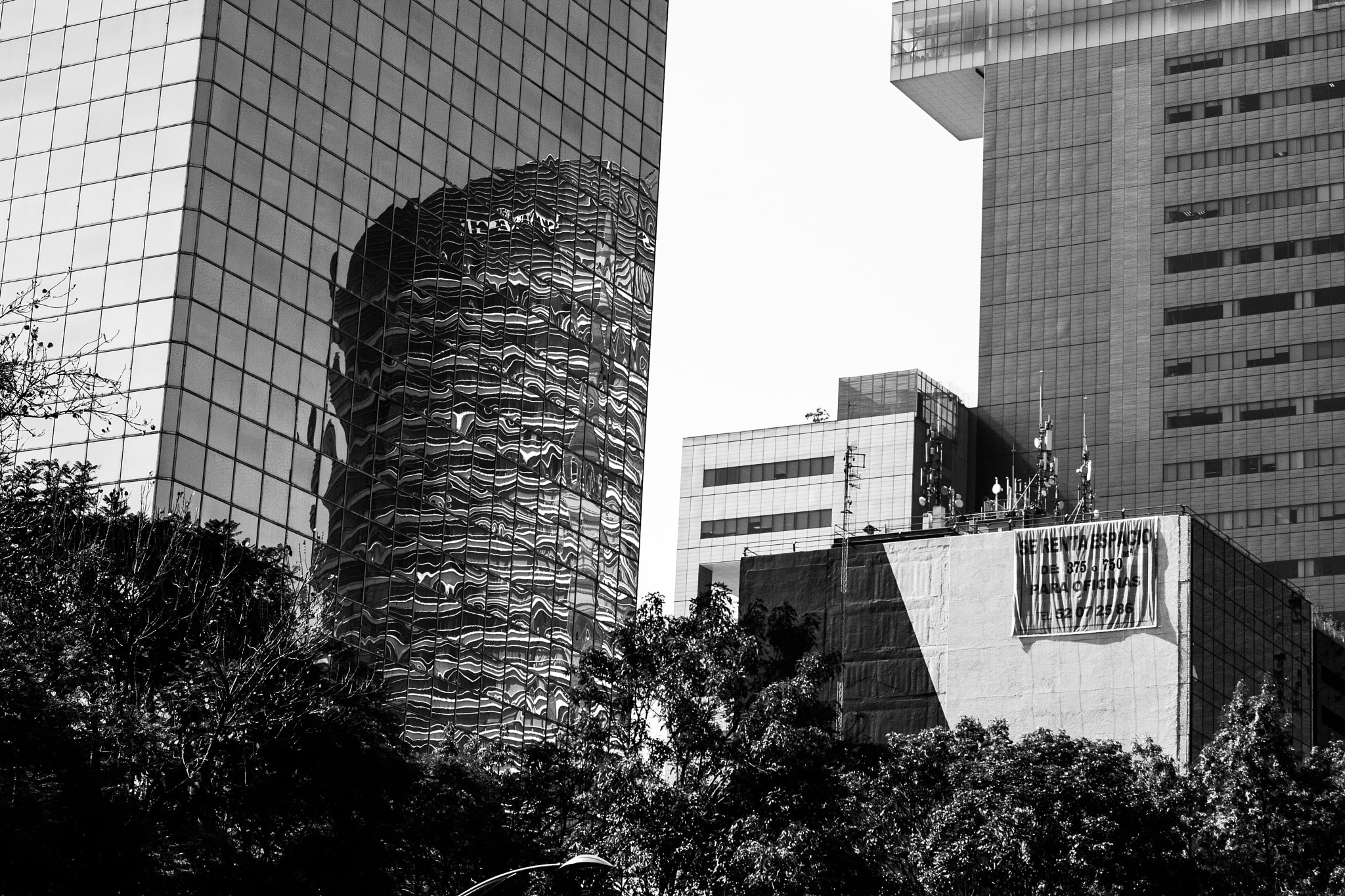 Canon EOS 400D (EOS Digital Rebel XTi / EOS Kiss Digital X) sample photo. Ciudad de méxico photography