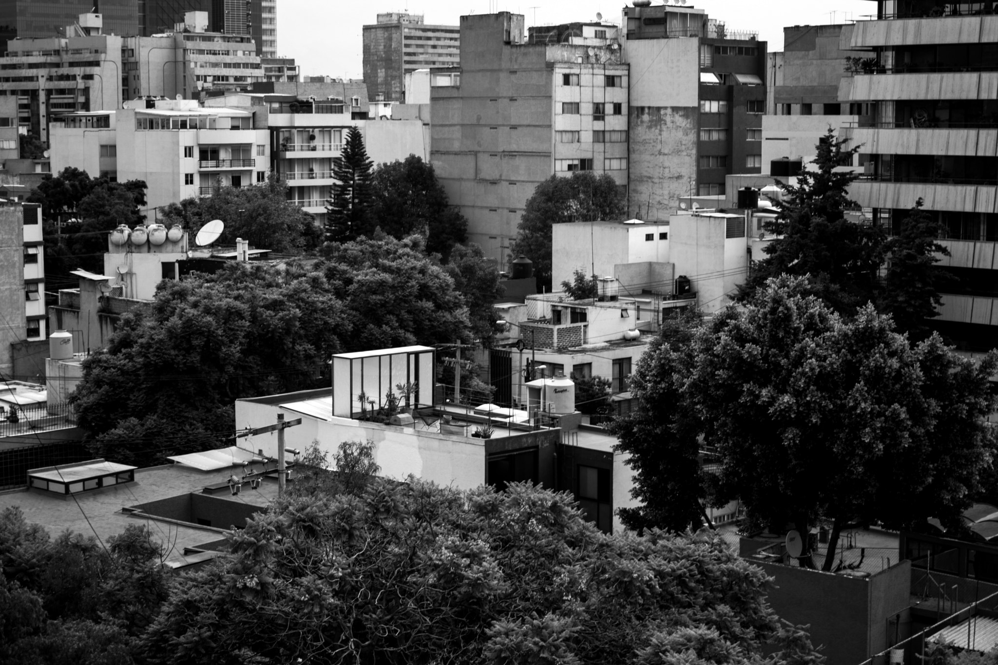 Canon EF 40mm F2.8 STM sample photo. Ciudad de méxico photography