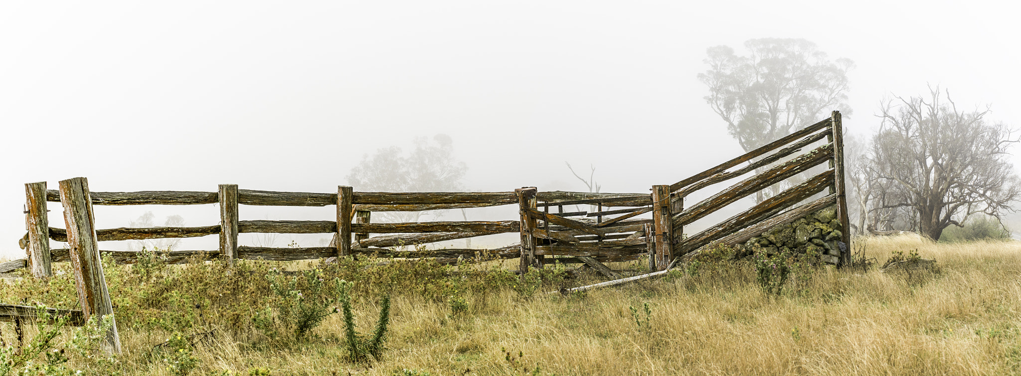 Pentax K-3 II sample photo. Standing in the clouds panorama photography