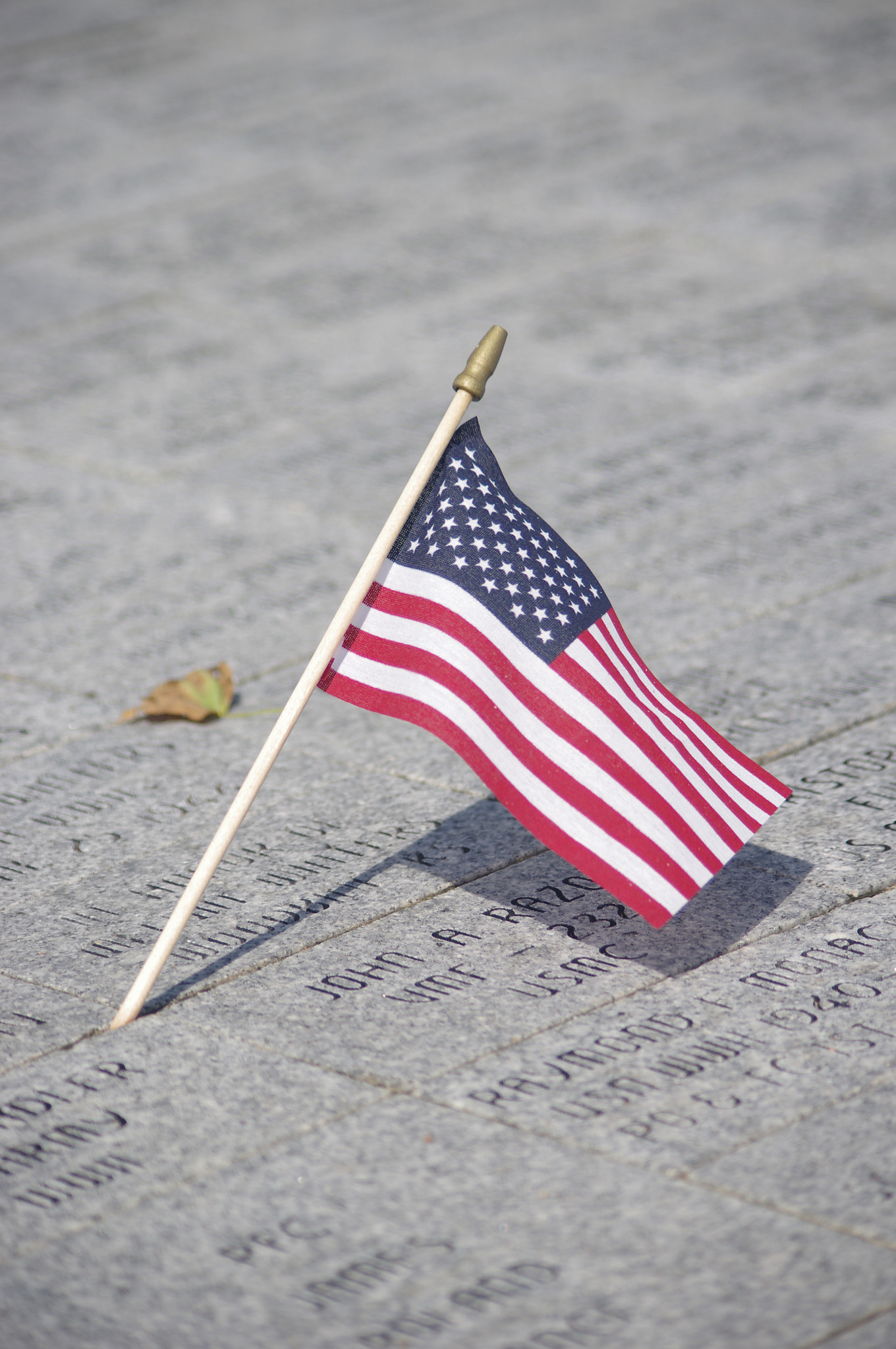 Pentax K-r + Pentax smc DA 55-300mm F4.0-5.8 ED sample photo. Memorial flag photography