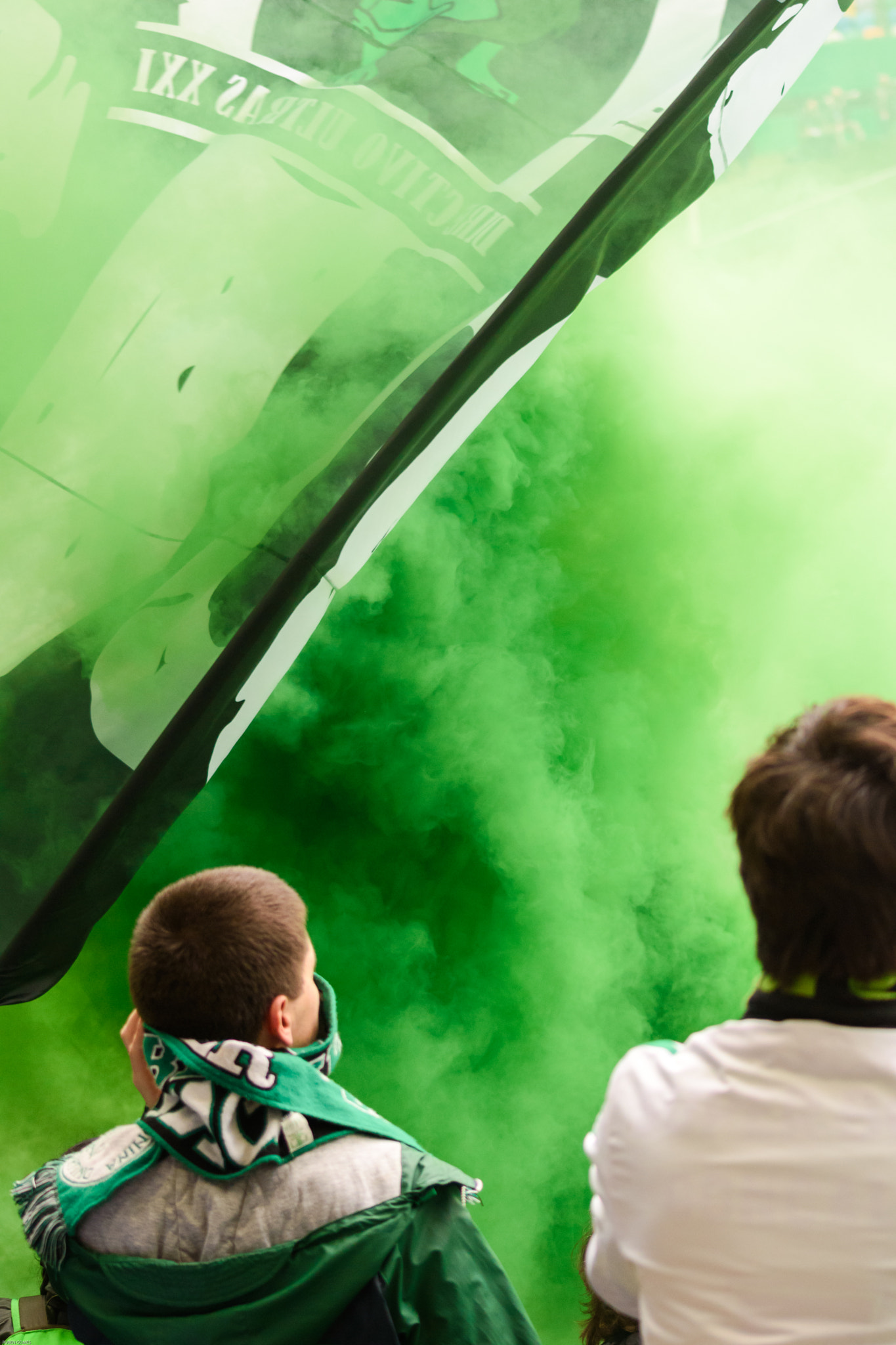 Sigma 70-300mm F4-5.6 APO DG Macro sample photo. Green smoke photography