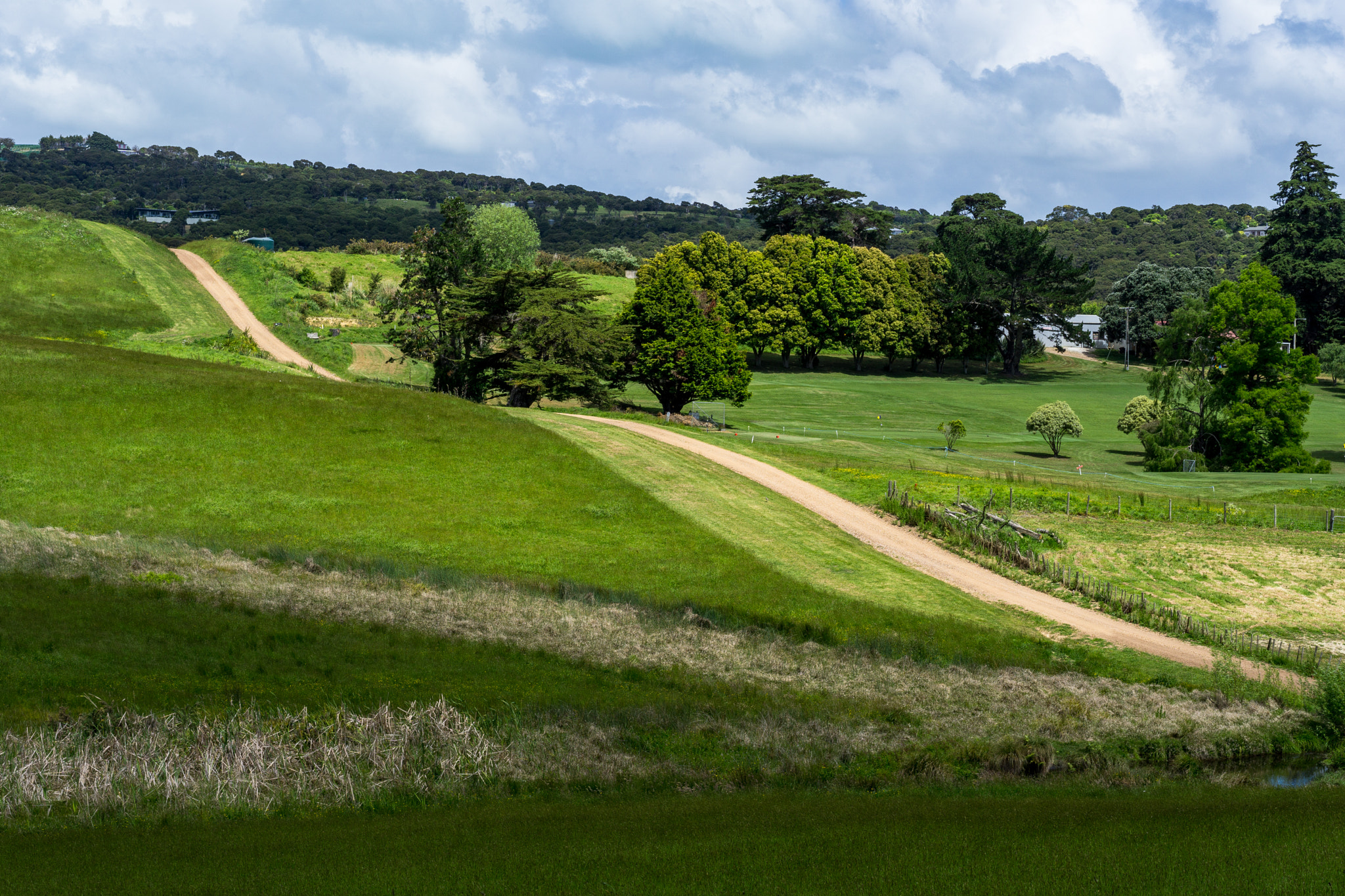 Sony a6000 + Sony Sonnar T* FE 55mm F1.8 ZA sample photo. Little dirt road across the hills, waiheke island photography