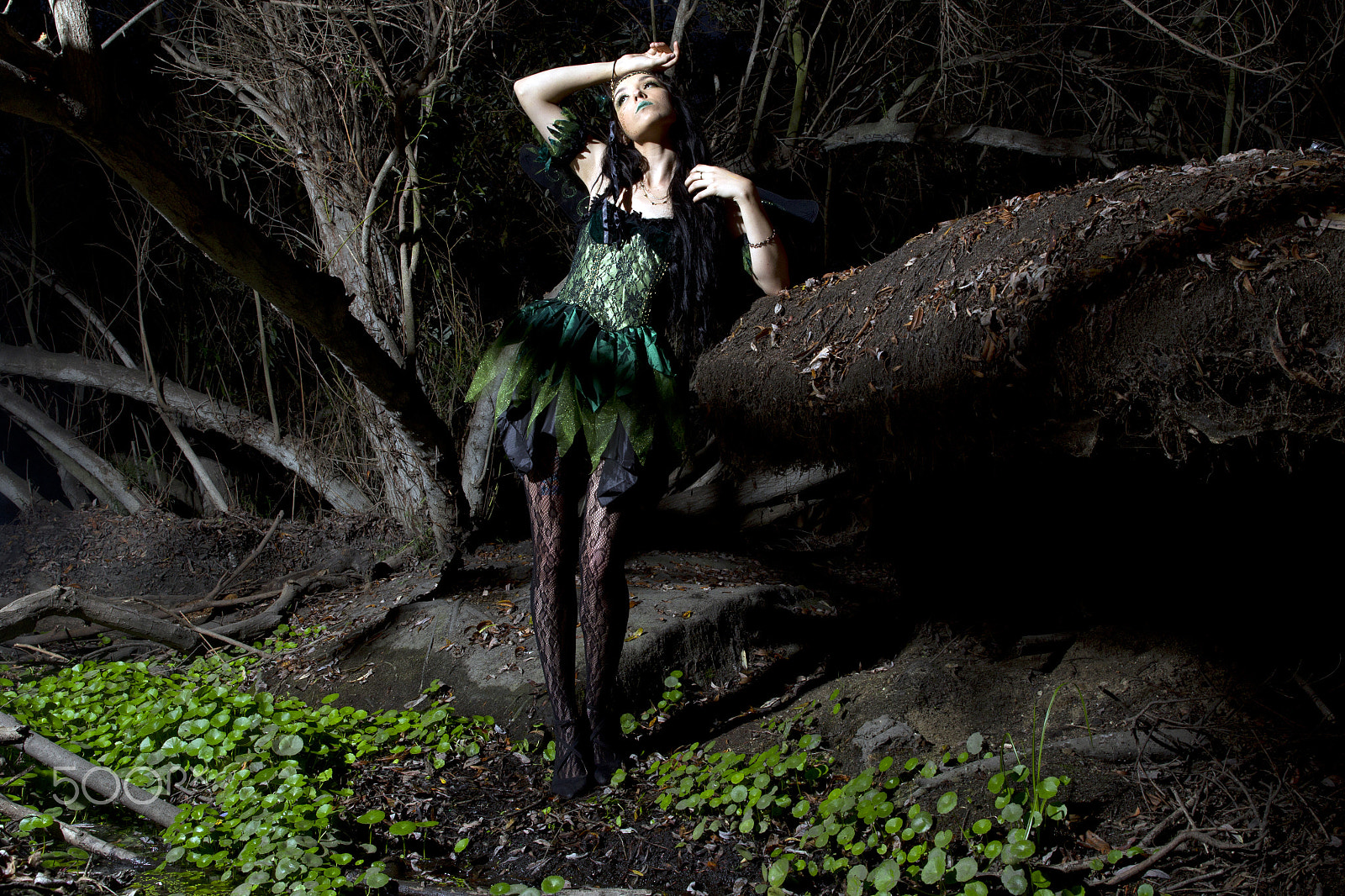 Canon EOS-1D Mark IV sample photo. Earth fairy photography
