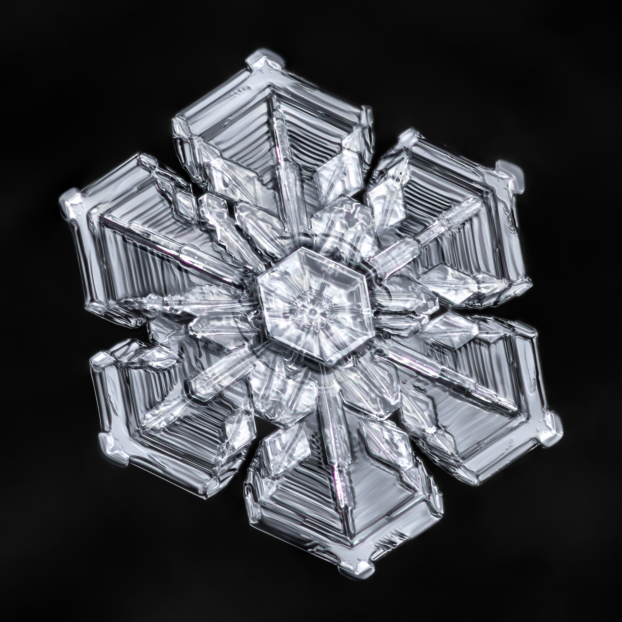 Canon MP-E 65mm F2.5 1-5x Macro Photo sample photo. Snowflake-a-day #57 photography