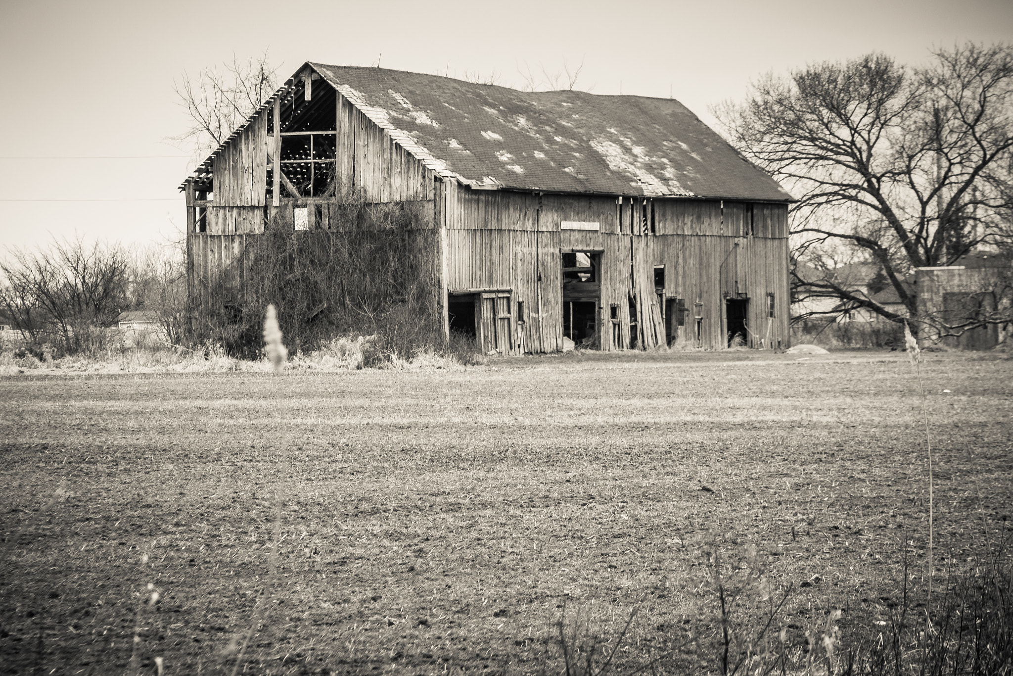 Canon EOS 80D sample photo. Roulette barn photography