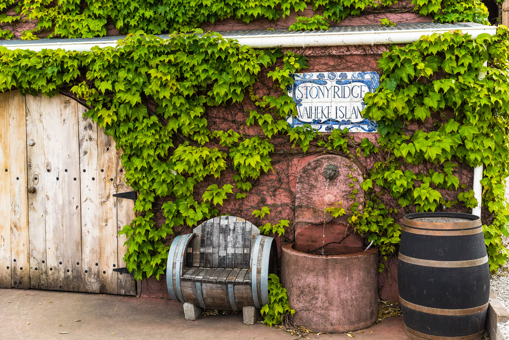 Sony a7S sample photo. Stonyridge vineyard, waiheke island photography