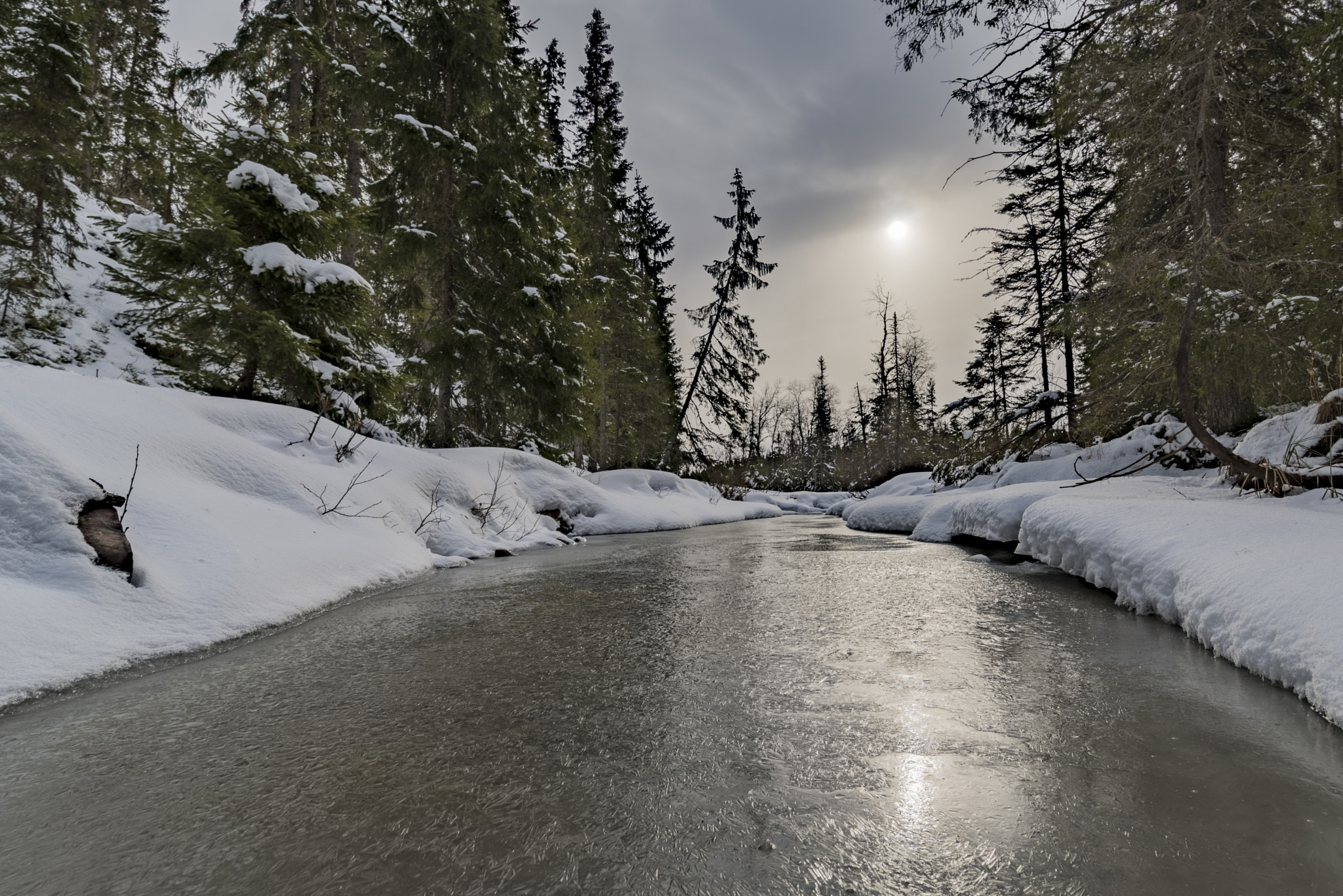 Nikon D800 sample photo. Frozen creek photography