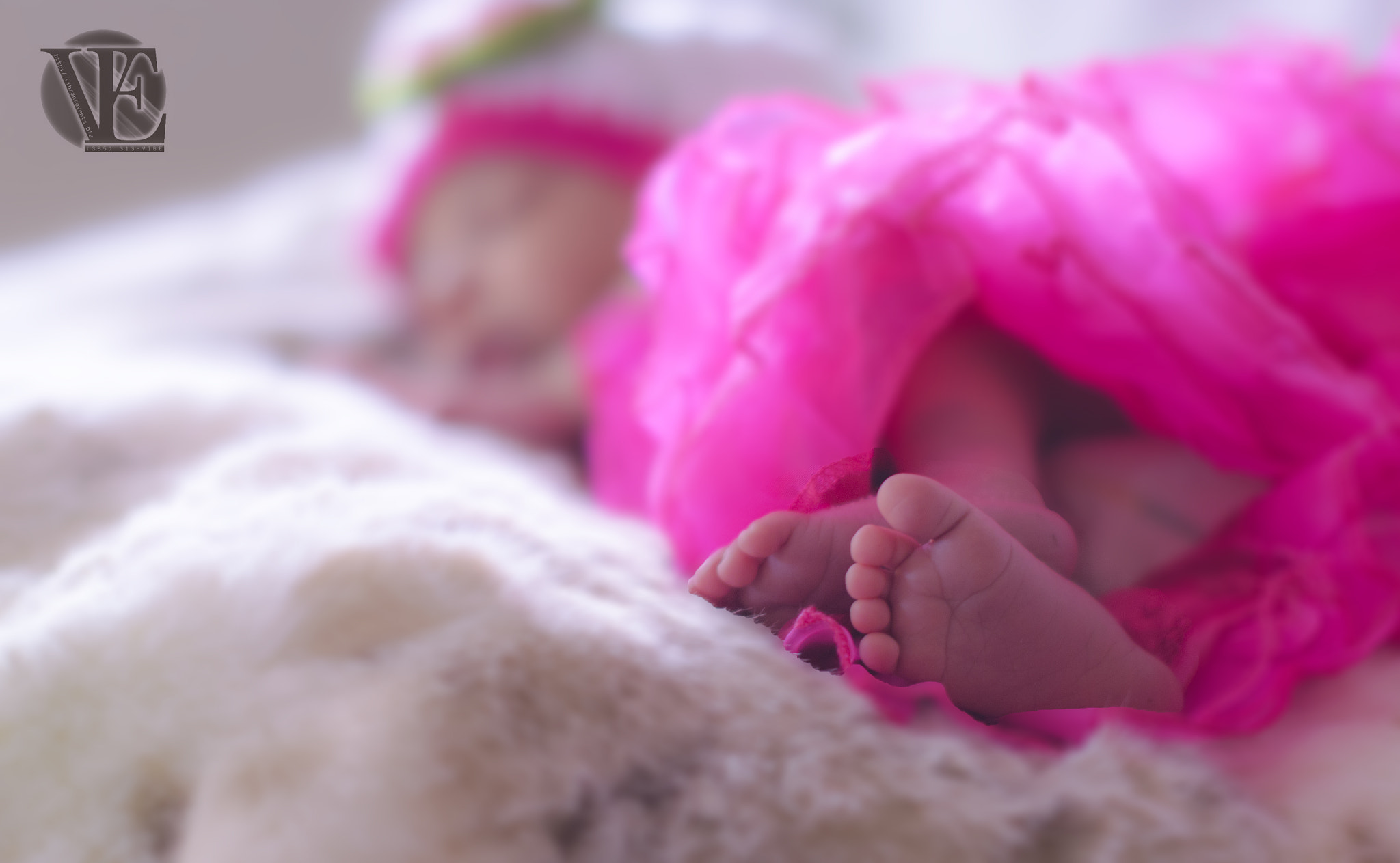 Sigma 50mm F1.4 EX DG HSM sample photo. Tiny feet photography