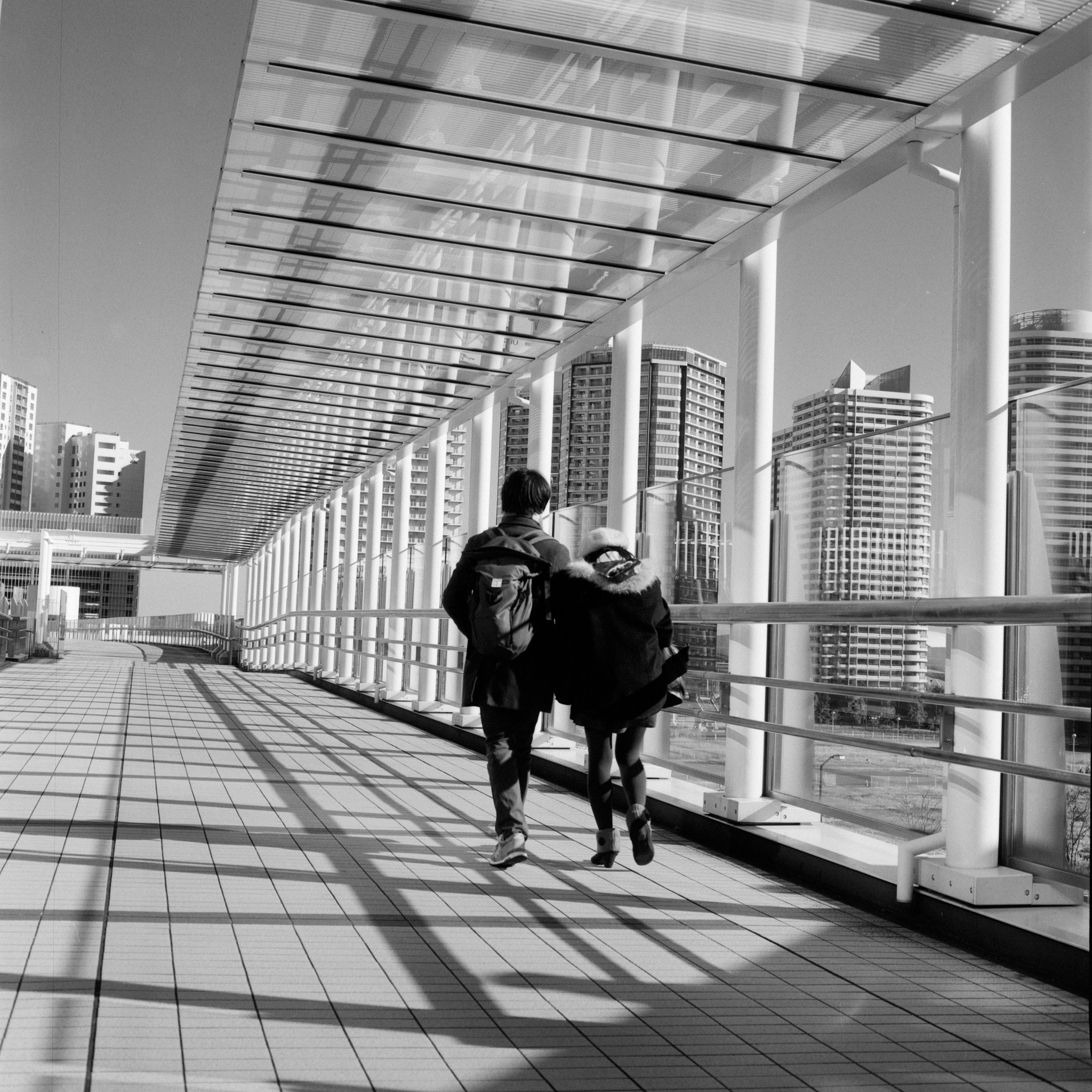 Pentax smc D-FA 100mm F2.8 macro sample photo. Mamiya c330s 80/2.8 photography